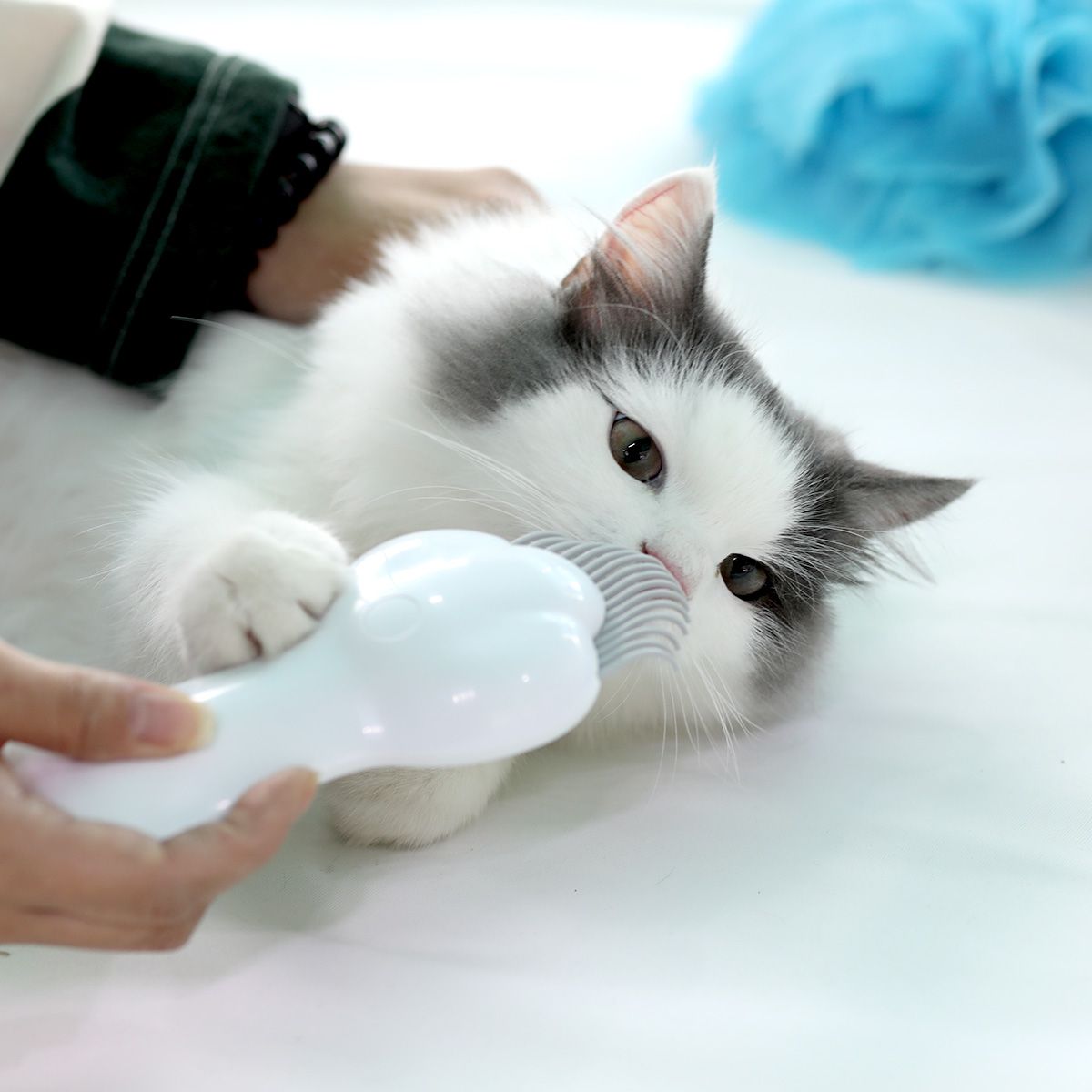 펫케어(PETCARE) 레이저빗