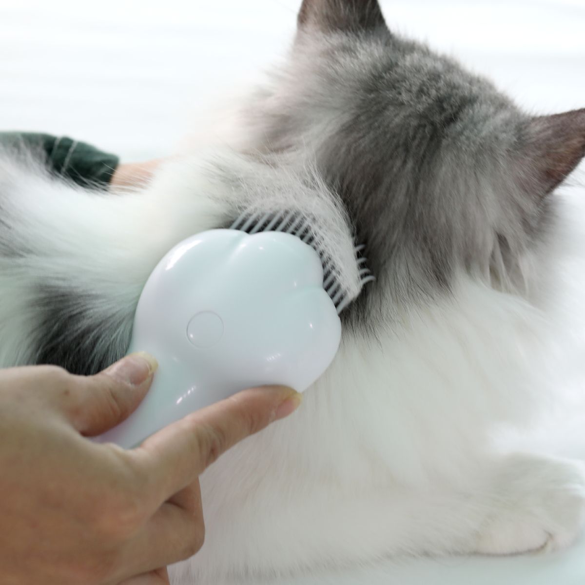 펫케어(PETCARE) 레이저빗