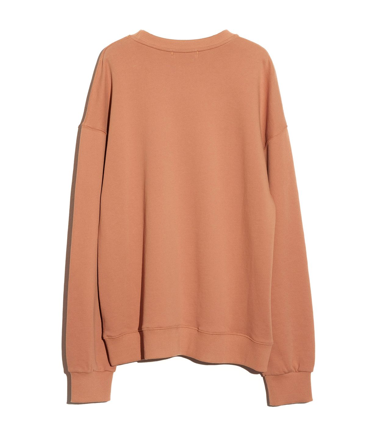 프로타곤(PROTAGON) OG Symbol Oversized Sweat Shirts (Brown)