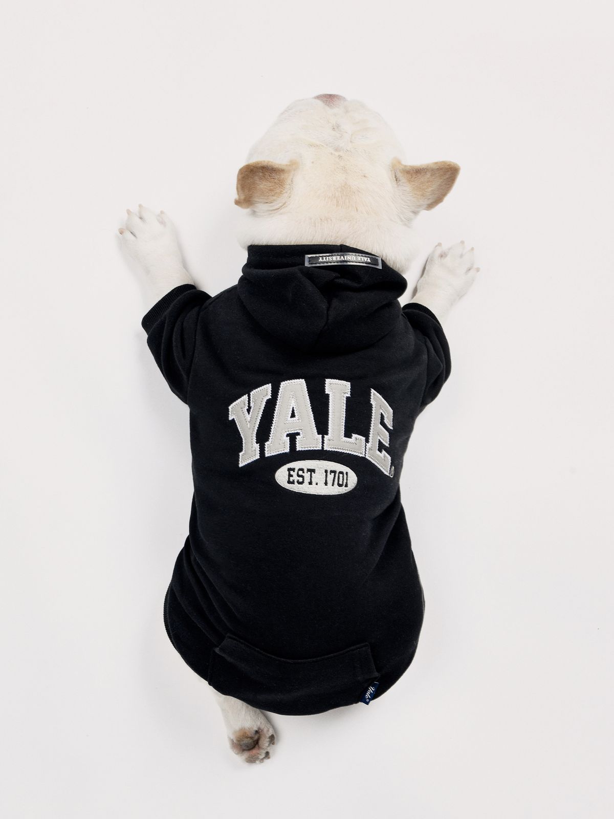 예일(YALE) 투톤아치 도기 후드_블랙