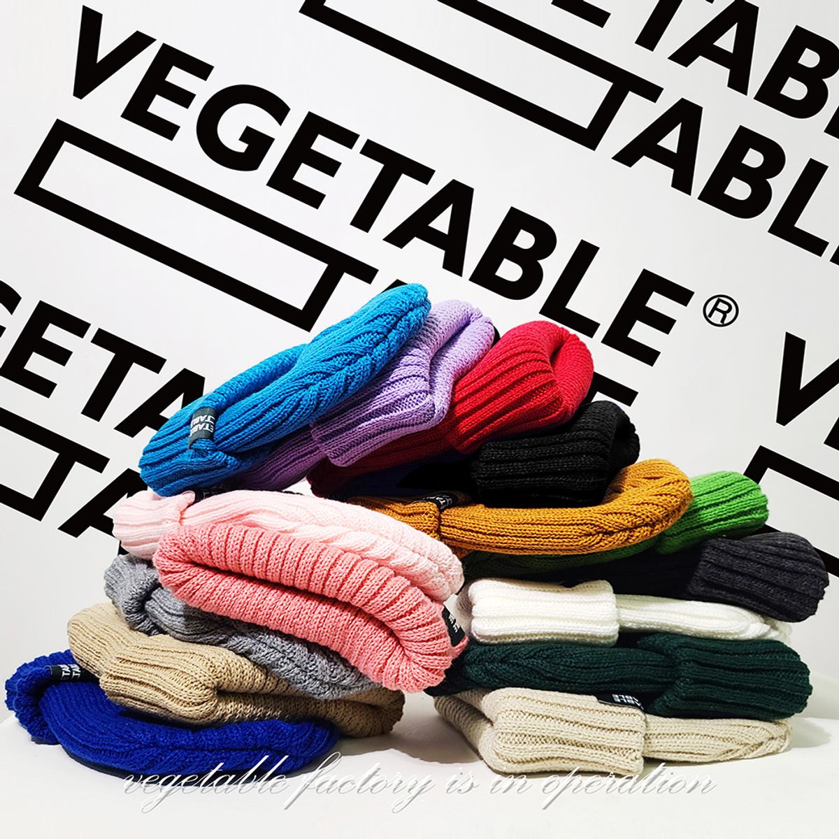 베지터블테이블(VEGETABLE TABLE) 남녀공용 빅 골지 컬러 무지 니트 비니 모자 베이지