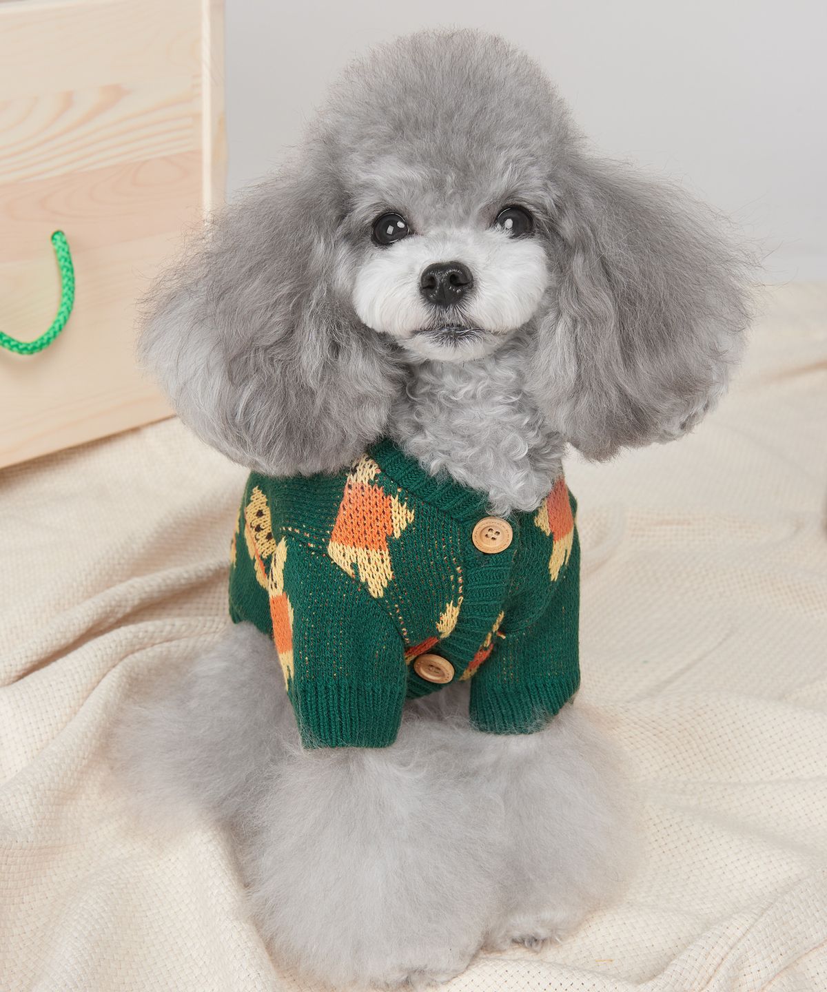 위드토리(WITH TORY) 비비 곰돌이 니트 가디건 (Green)