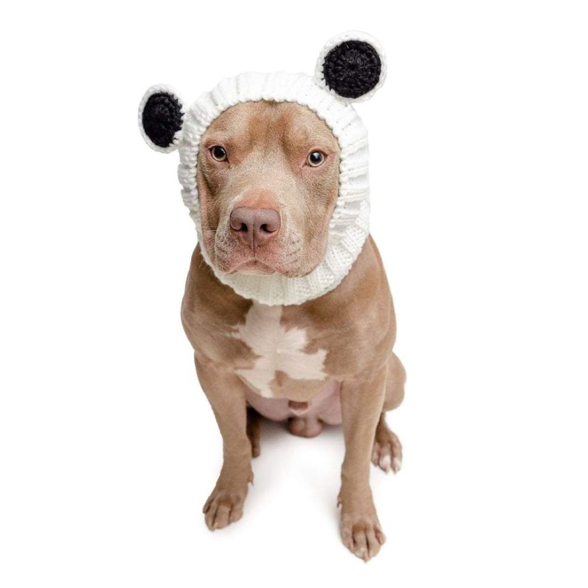 주스누드(ZOO SNOODS) 니트 후드 판다 베어
