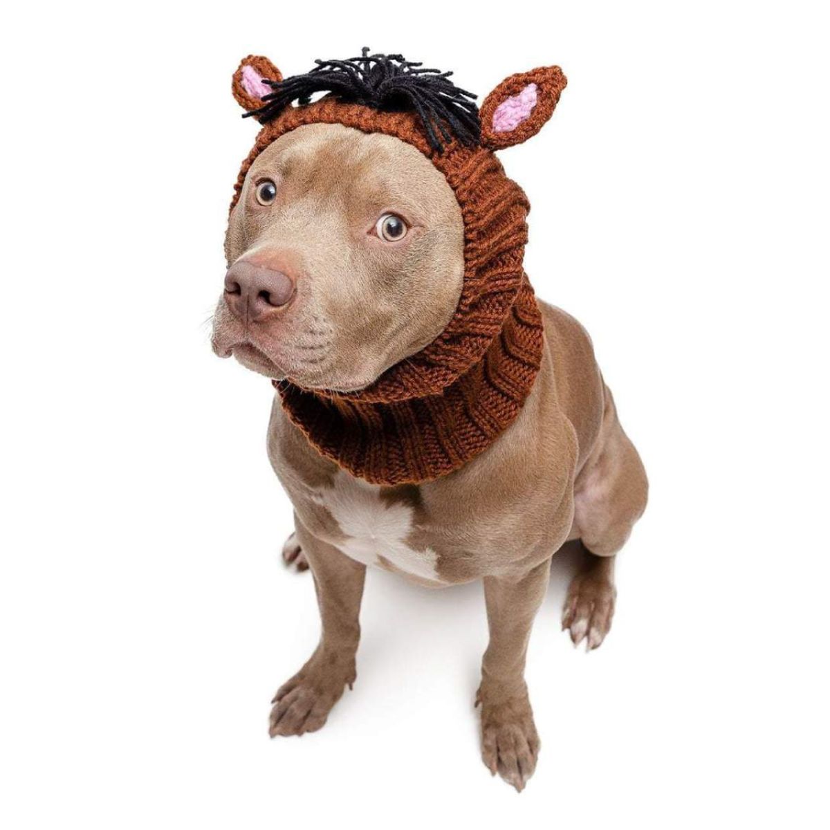 주스누드(ZOO SNOODS) 니트 후드 호스