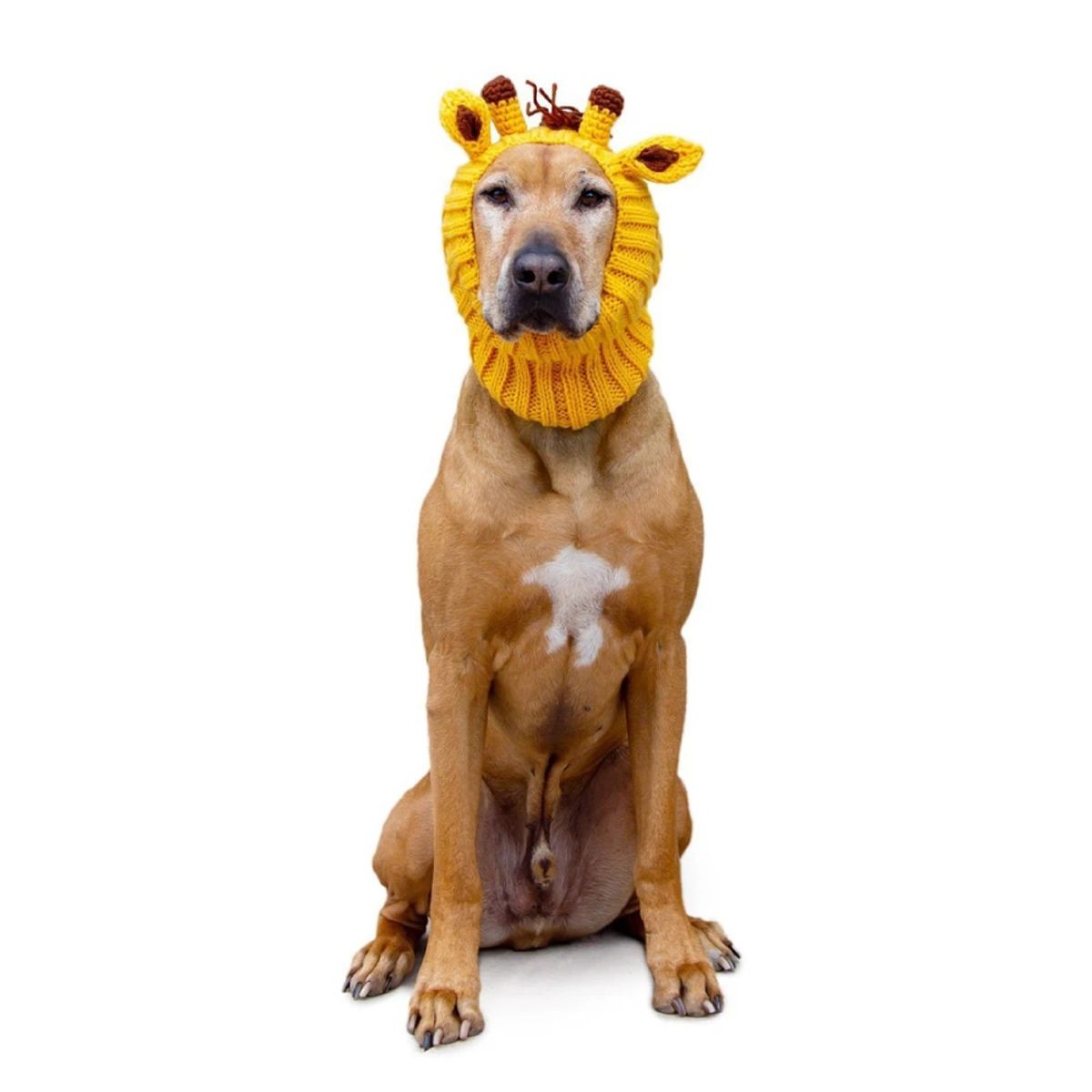 주스누드(ZOO SNOODS) 니트 후드 지라프