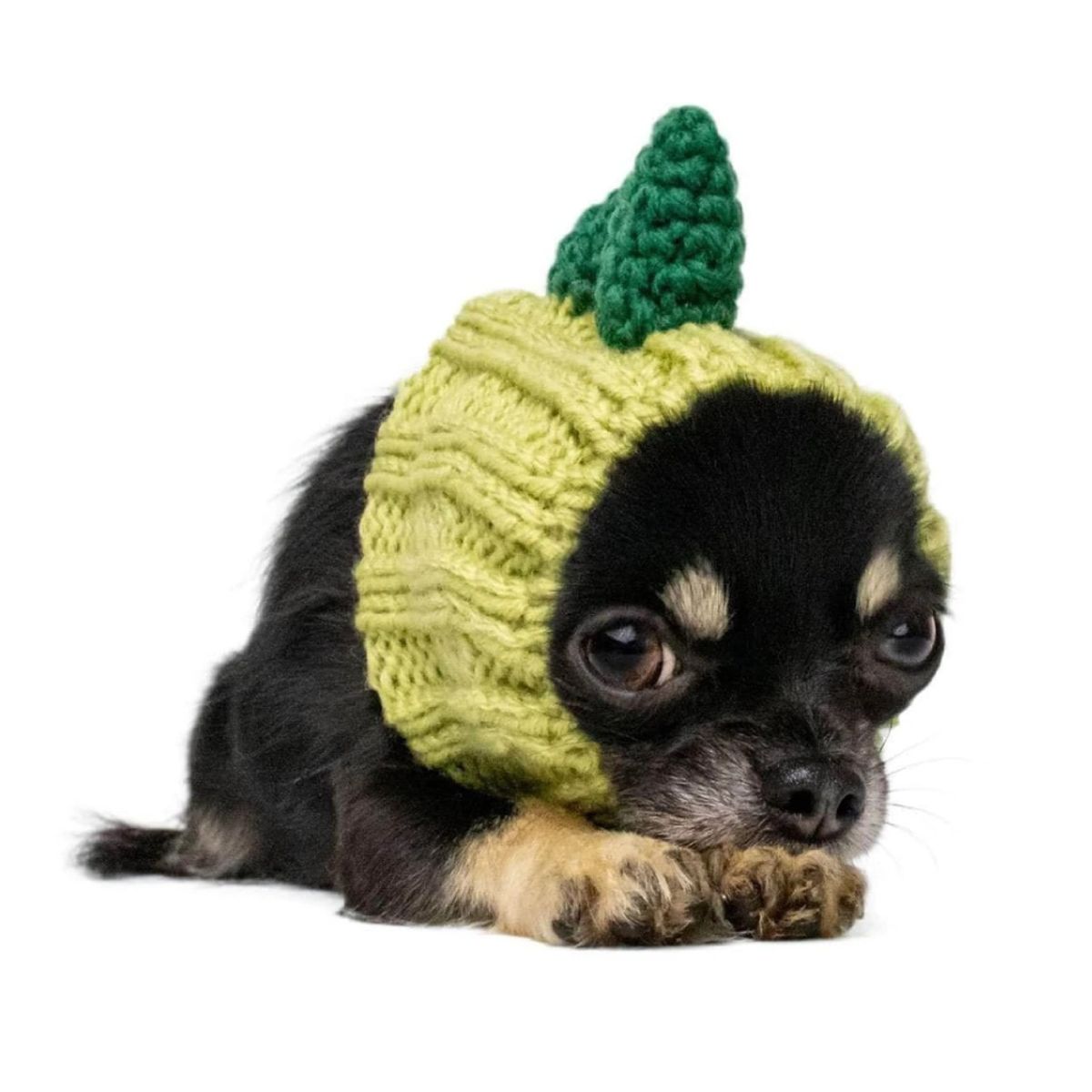 주스누드(ZOO SNOODS) 니트 후드 다이너소어