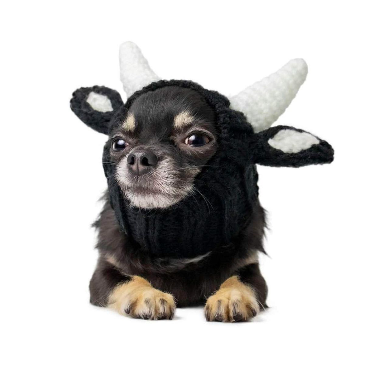 주스누드(ZOO SNOODS) 니트 후드_불