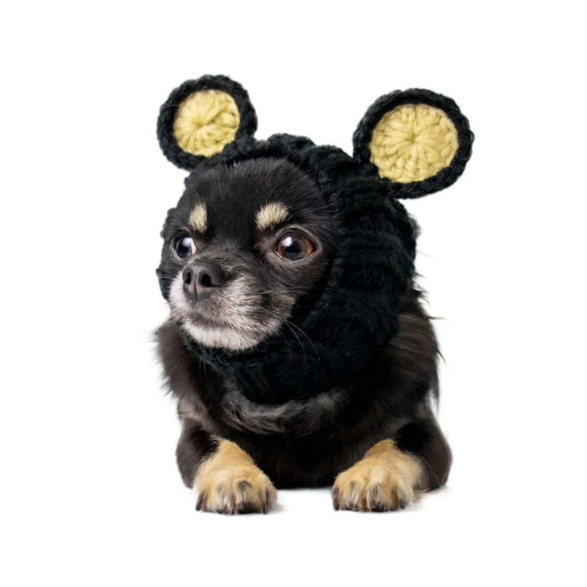 주스누드(ZOO SNOODS) 니트 후드 블랙 베어