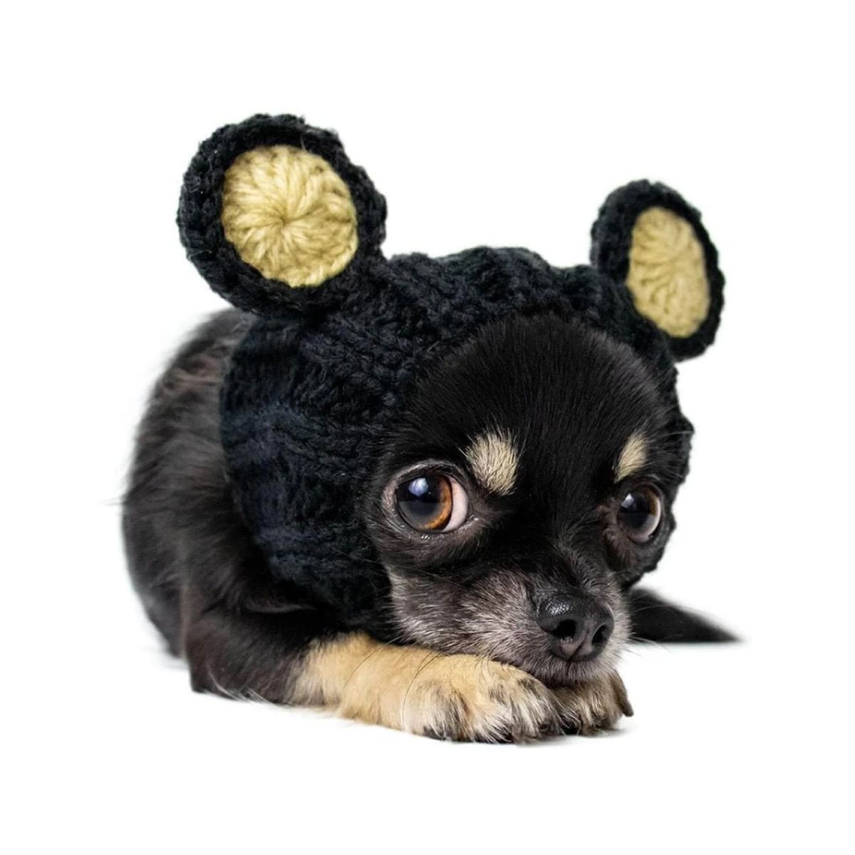 주스누드(ZOO SNOODS) 니트 후드 블랙 베어