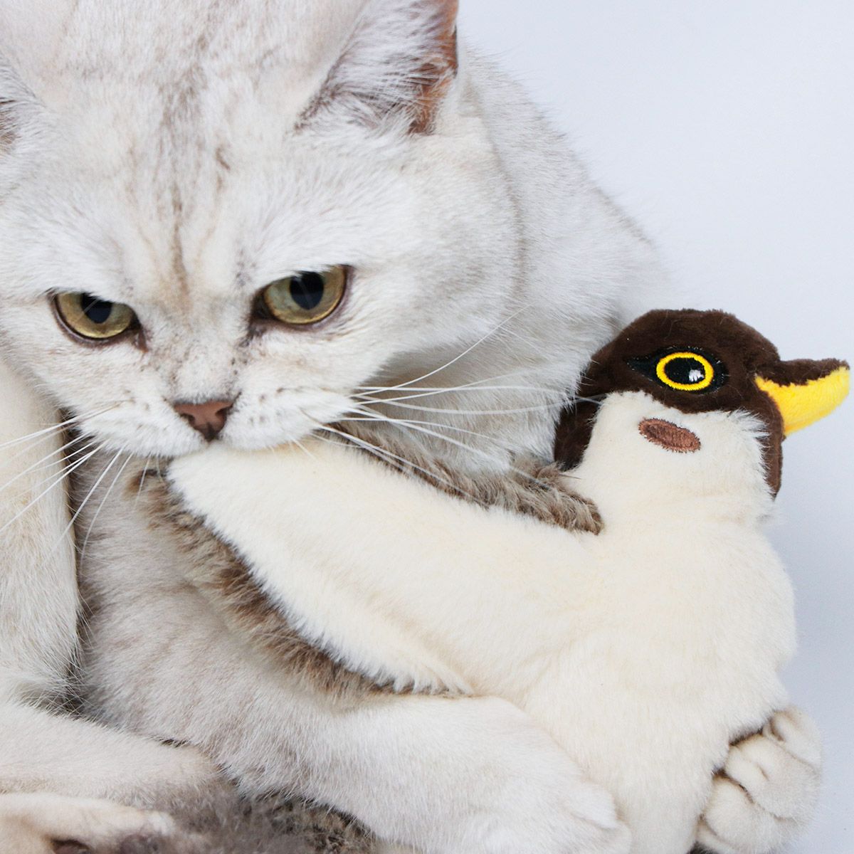 펫케어(PETCARE) 춤추는새 고양이용 참새