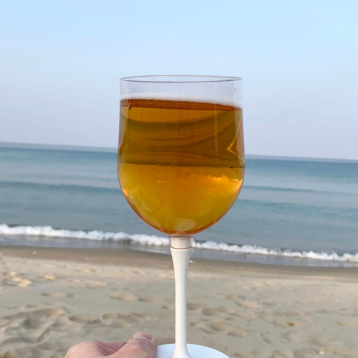 앨리건트 테이블(ELEGANT TABLE) 르피크닉 휴대용 피크닉 비어& 와인잔 3color 캠핑 선물용