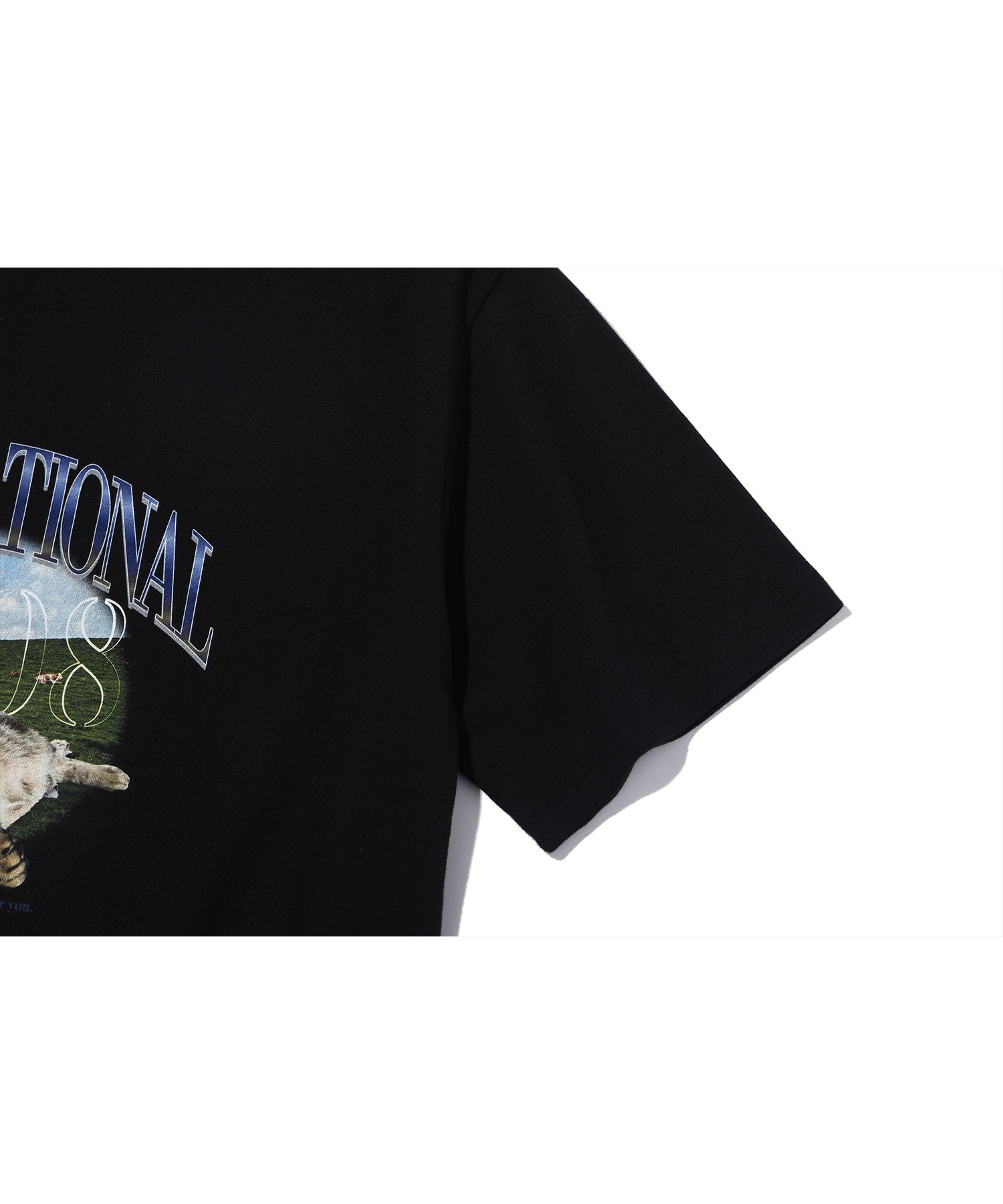 MUSINSA | CPGN STUDIO [20S] DTP CAT DAY SHORT SLEEVE T-SHIRT