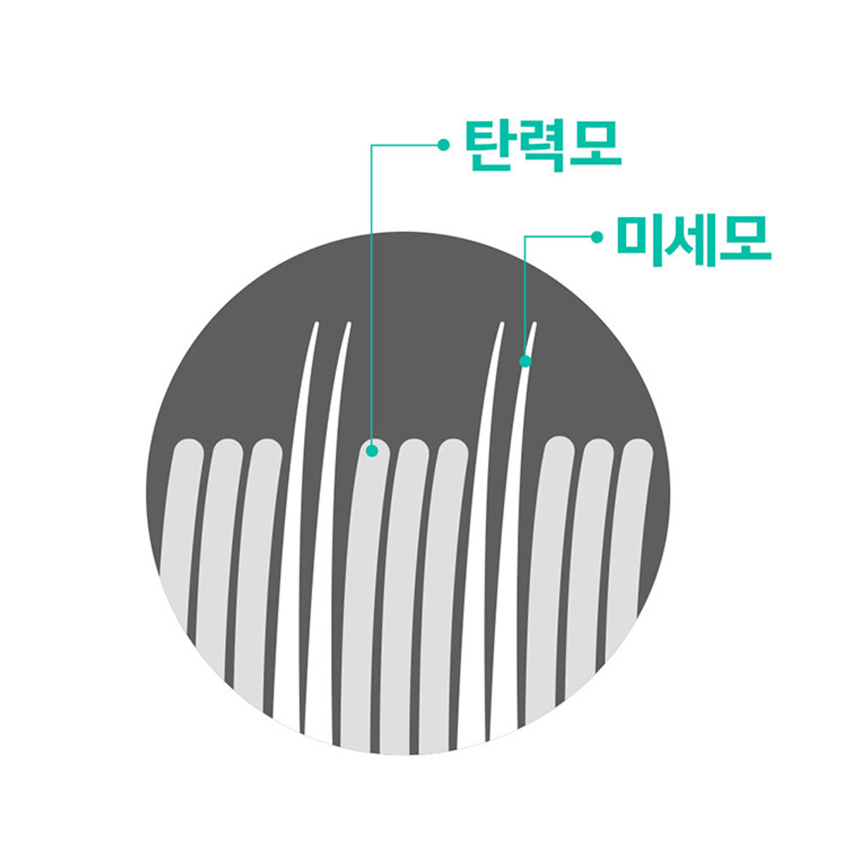 덴클(DENCLE) 올인원케어 칫솔 16개입