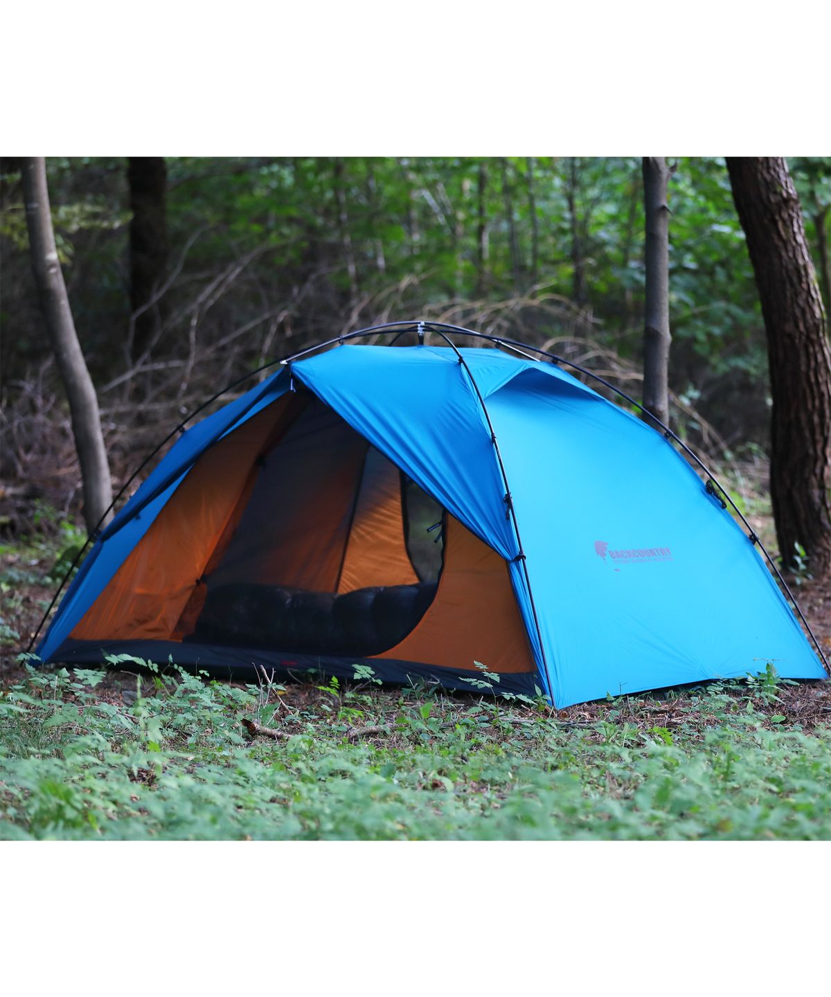 백컨트리(BACKCOUNTRY) 재너두 2.5P 익스패디션