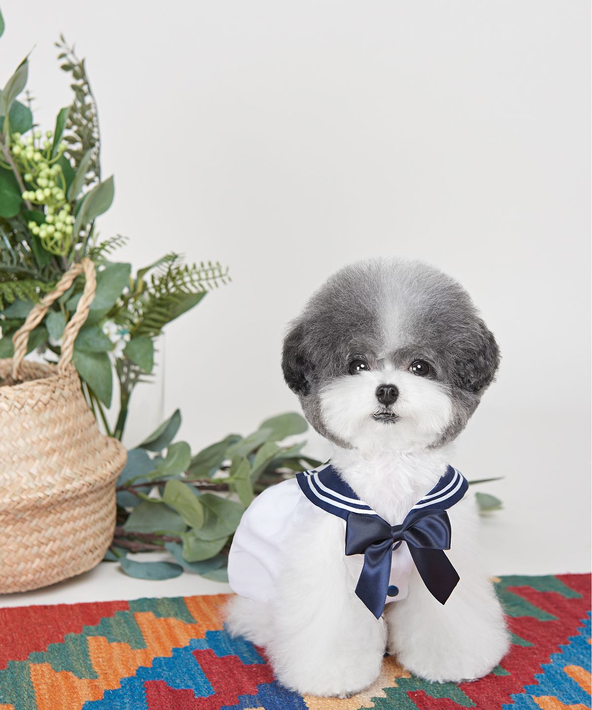 위드토리(WITH TORY) 세라 벌룬탑  네이비-화이트