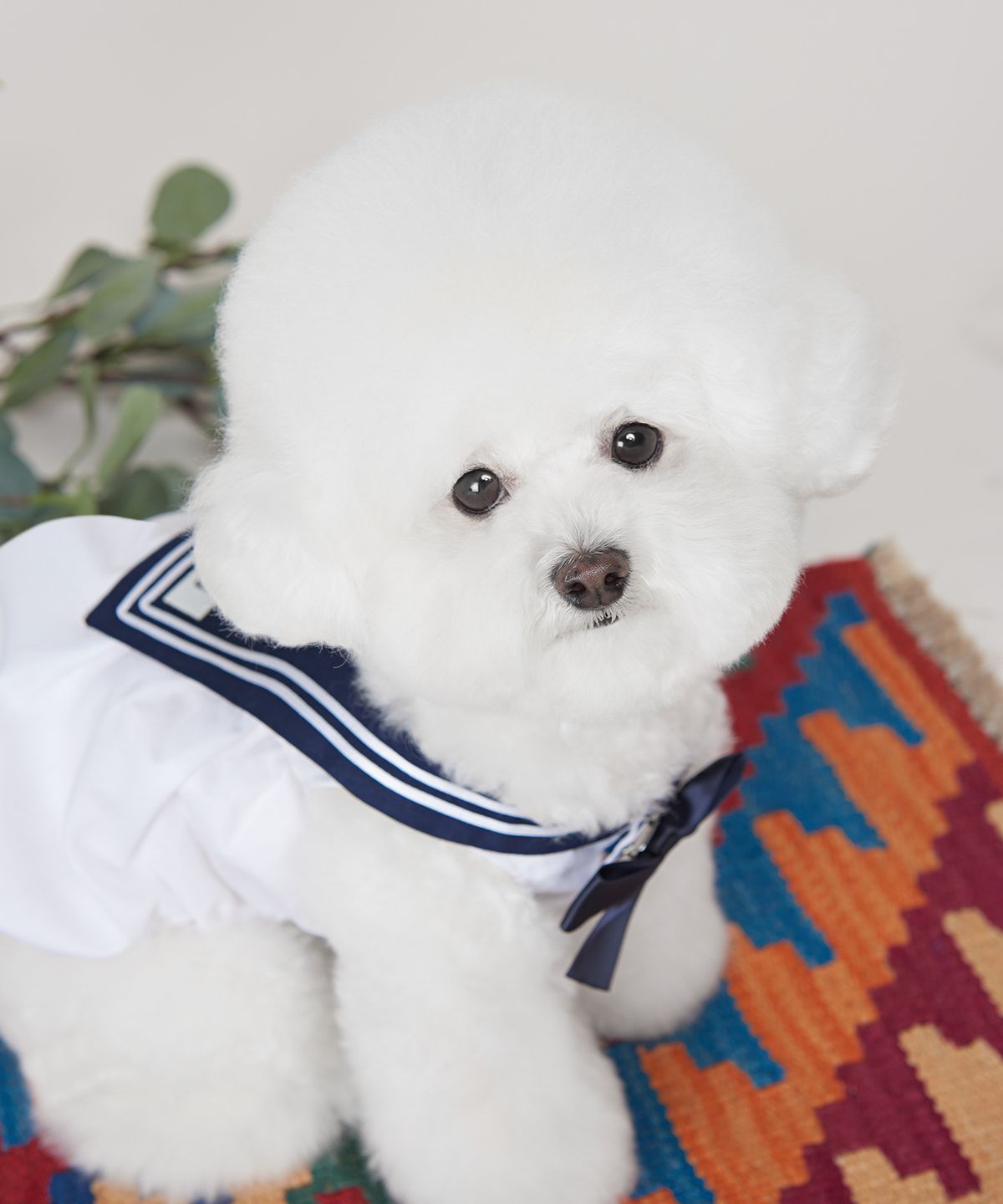 위드토리(WITH TORY) 세라 벌룬탑  네이비-화이트
