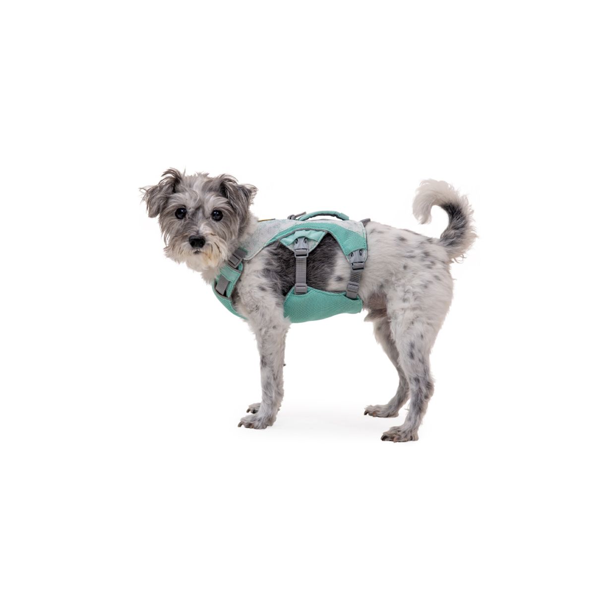 러프웨어(RUFFWEAR) 스왐프 쿨러 쿨링 하네스(Swamp Cooler™ Harness)