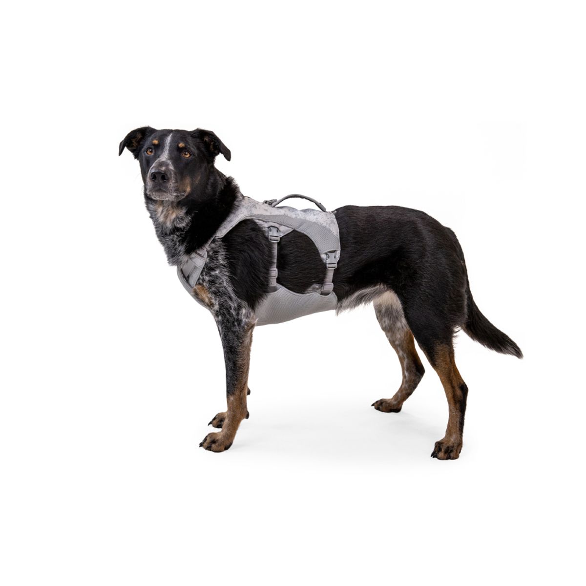러프웨어(RUFFWEAR) 스왐프 쿨러 쿨링 하네스(Swamp Cooler™ Harness)