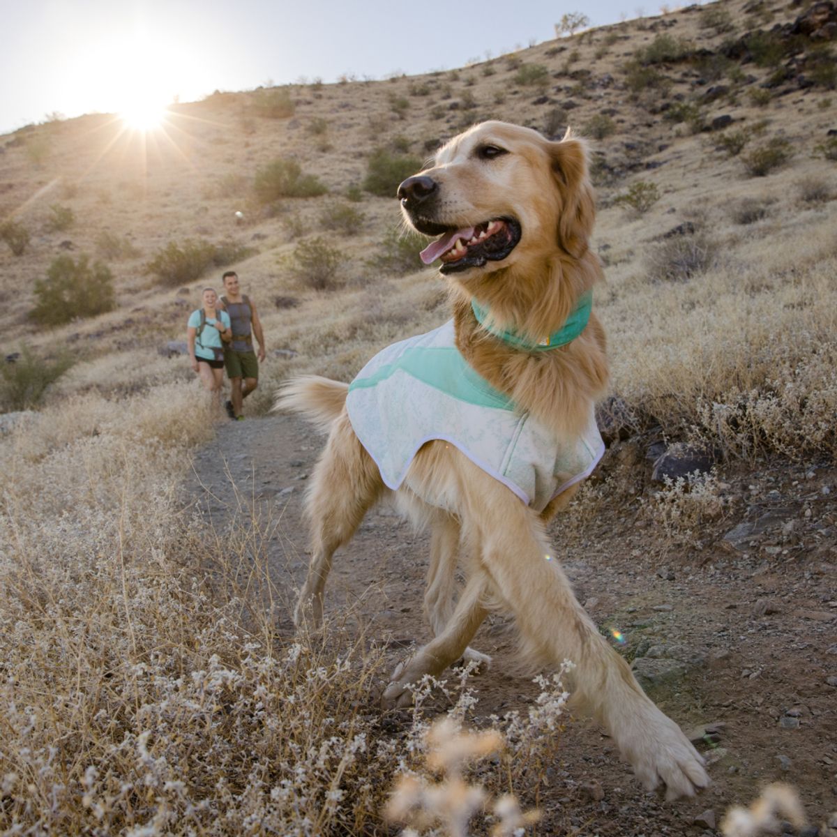 러프웨어(RUFFWEAR) 스왐프 쿨러 쿨링 양면 넥 게이터(Swamp Cooler™ Neck Gaiter)
