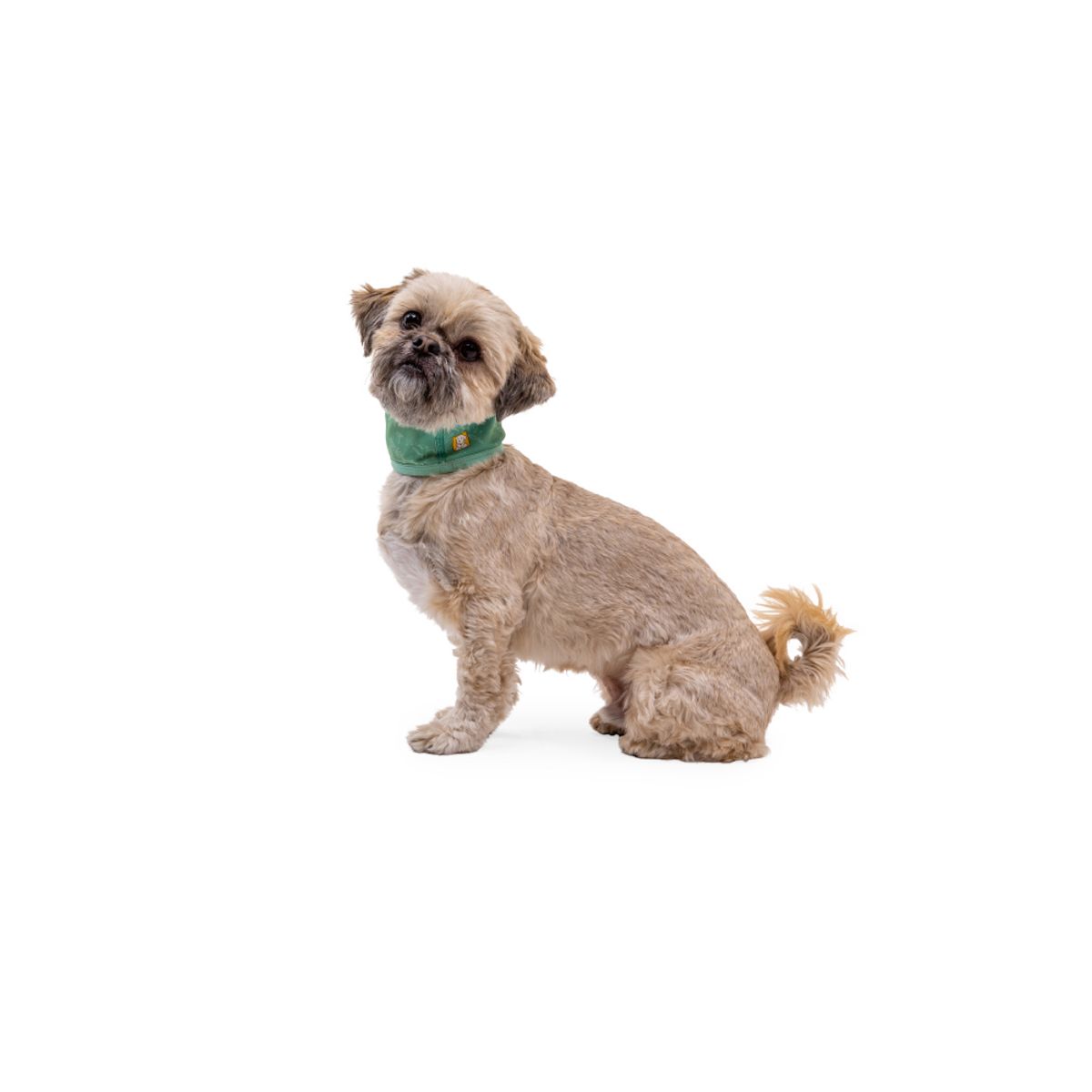 러프웨어(RUFFWEAR) 스왐프 쿨러 쿨링 양면 넥 게이터(Swamp Cooler™ Neck Gaiter)