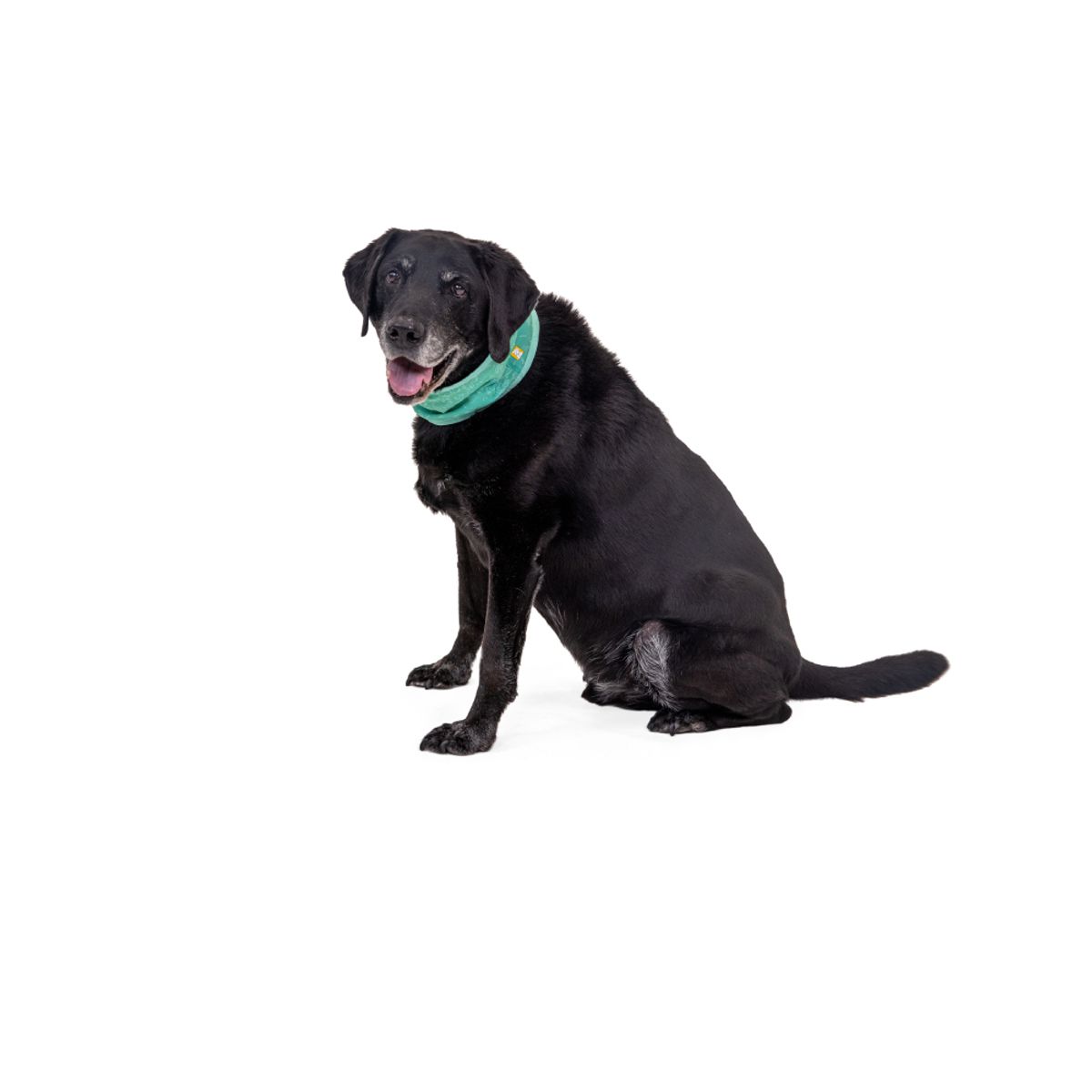 러프웨어(RUFFWEAR) 스왐프 쿨러 쿨링 양면 넥 게이터(Swamp Cooler™ Neck Gaiter)