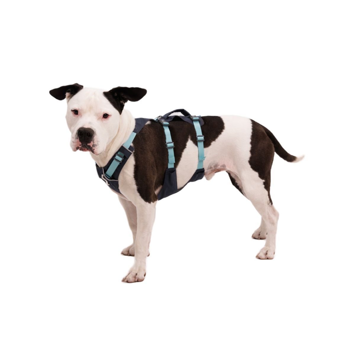 러프웨어(RUFFWEAR) 플레그라인 하네스(Flagline™ Harness )