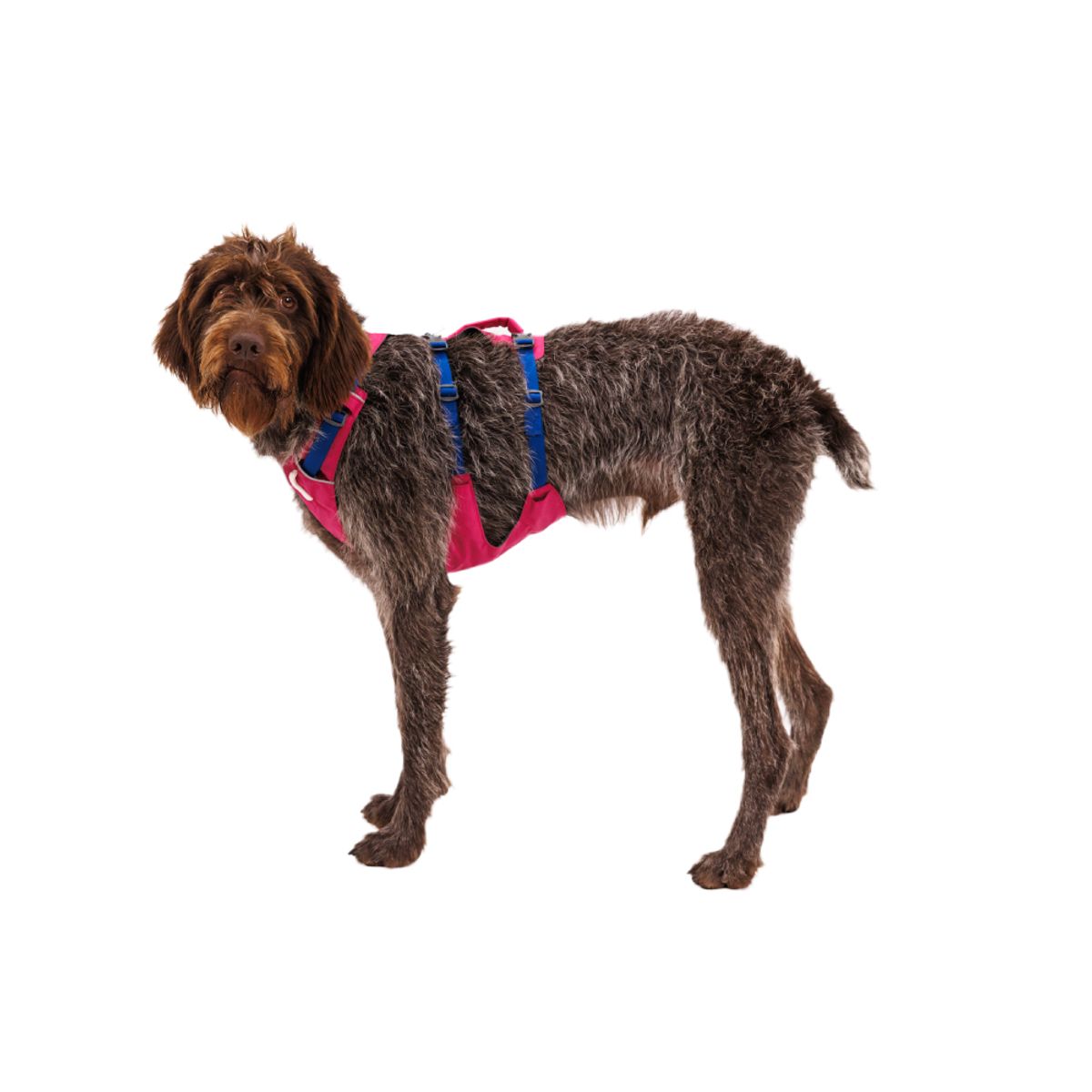 러프웨어(RUFFWEAR) 플레그라인 하네스(Flagline™ Harness )