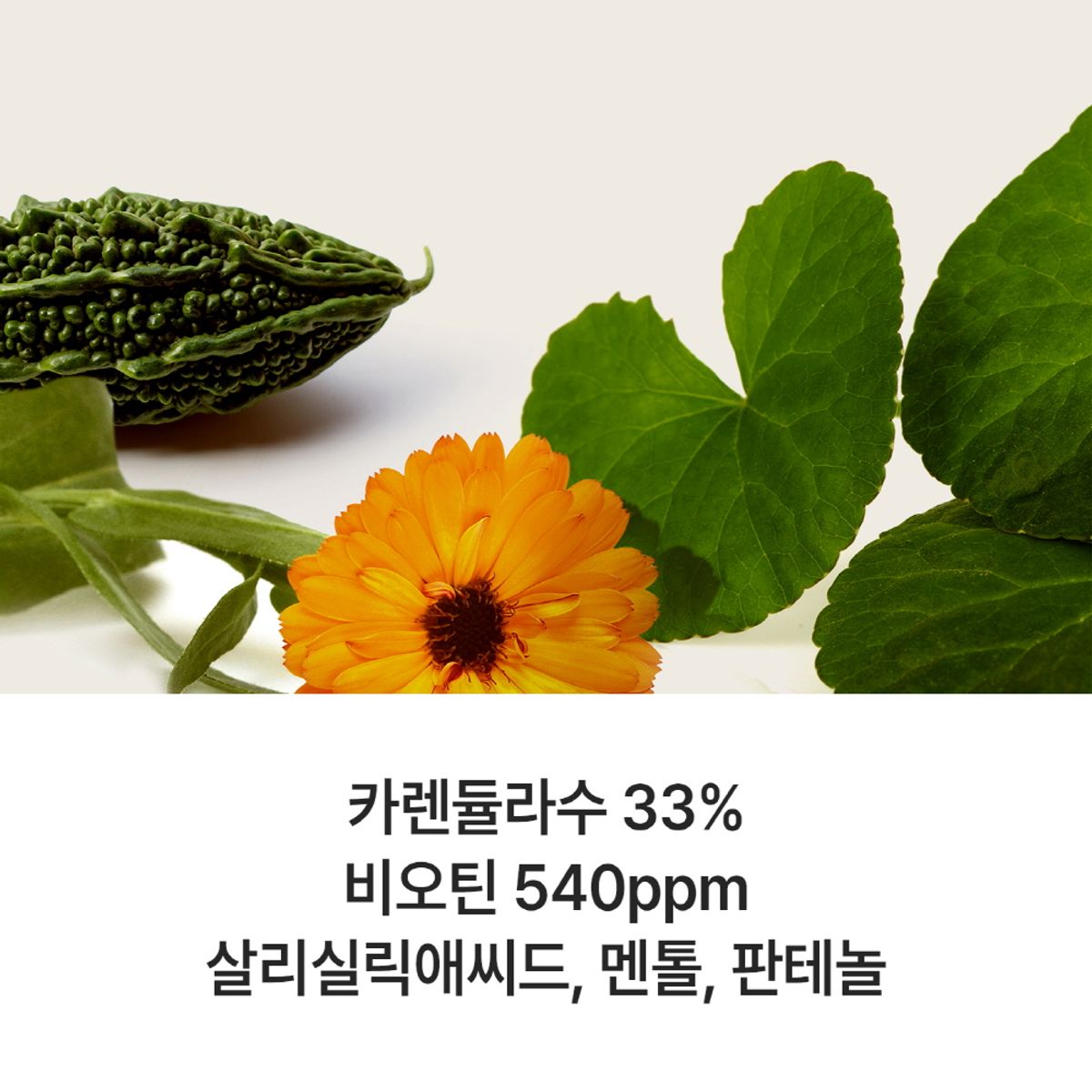 심플리오(SIMPLYO) 비오틴 기능성 워터 트리트먼트 250ml 빠른흡수 탈모완화 수분코팅 250ml