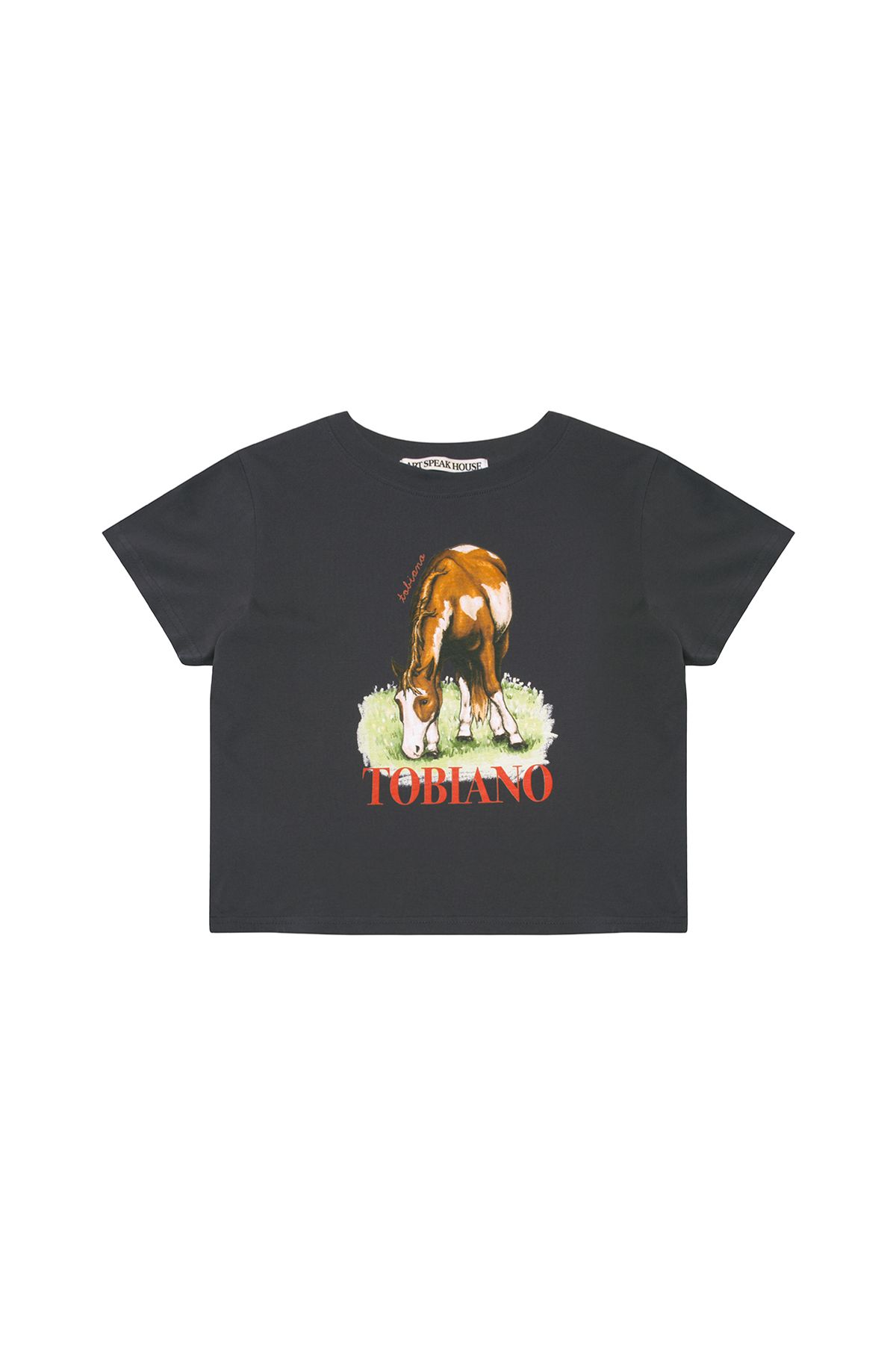 아트스피크하우스(ART SPEAK HOUSE) TOBIANO SHORT SLEEVE CROP TOP_CHARCOAL