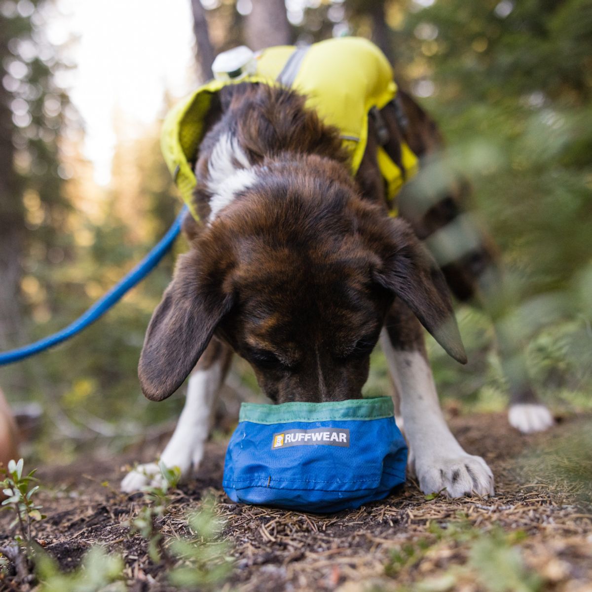 러프웨어(RUFFWEAR) 트레일 러너 보울 휴대용 식기(Trail Runner™ Bowl)