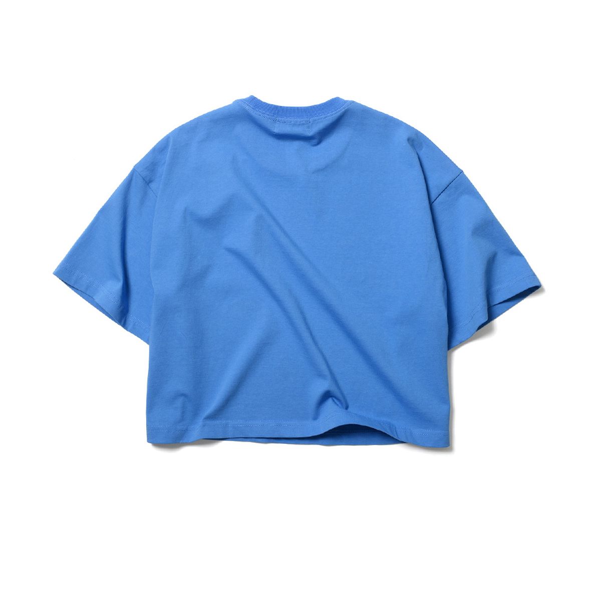 윌리엄스버그 뉴욕시티(WILLIAMSBURG NEWYORK CITY) Classic Logo Crop Round T_Blue