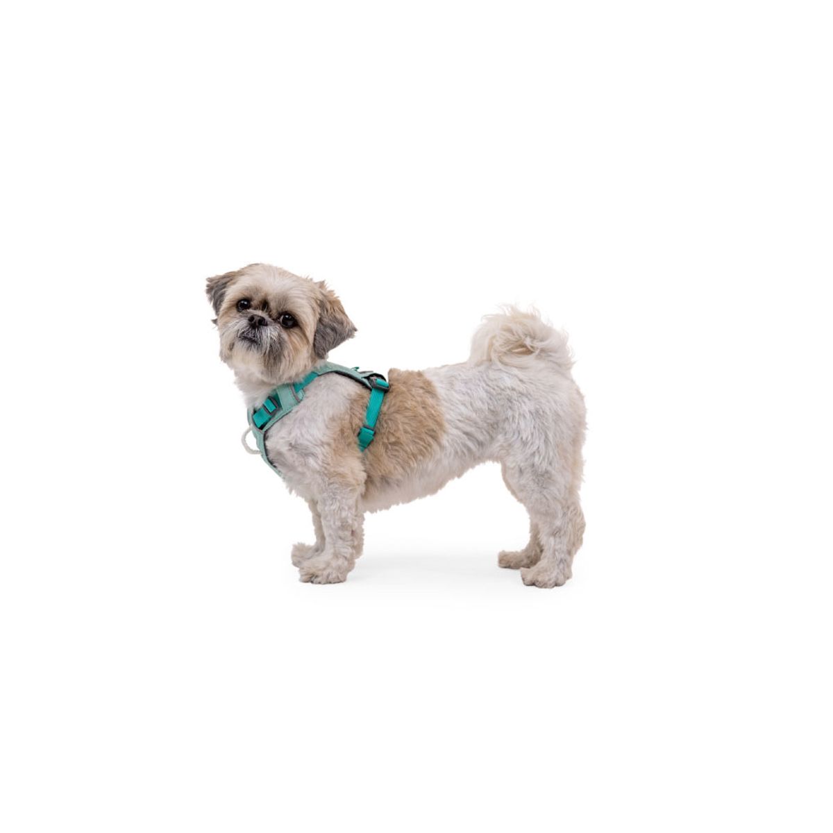 러프웨어(RUFFWEAR) 하이 앤 라이트 경량 하네스(Hi & Light™ Harness 2024SS)