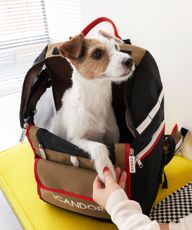 Thumbnail 8