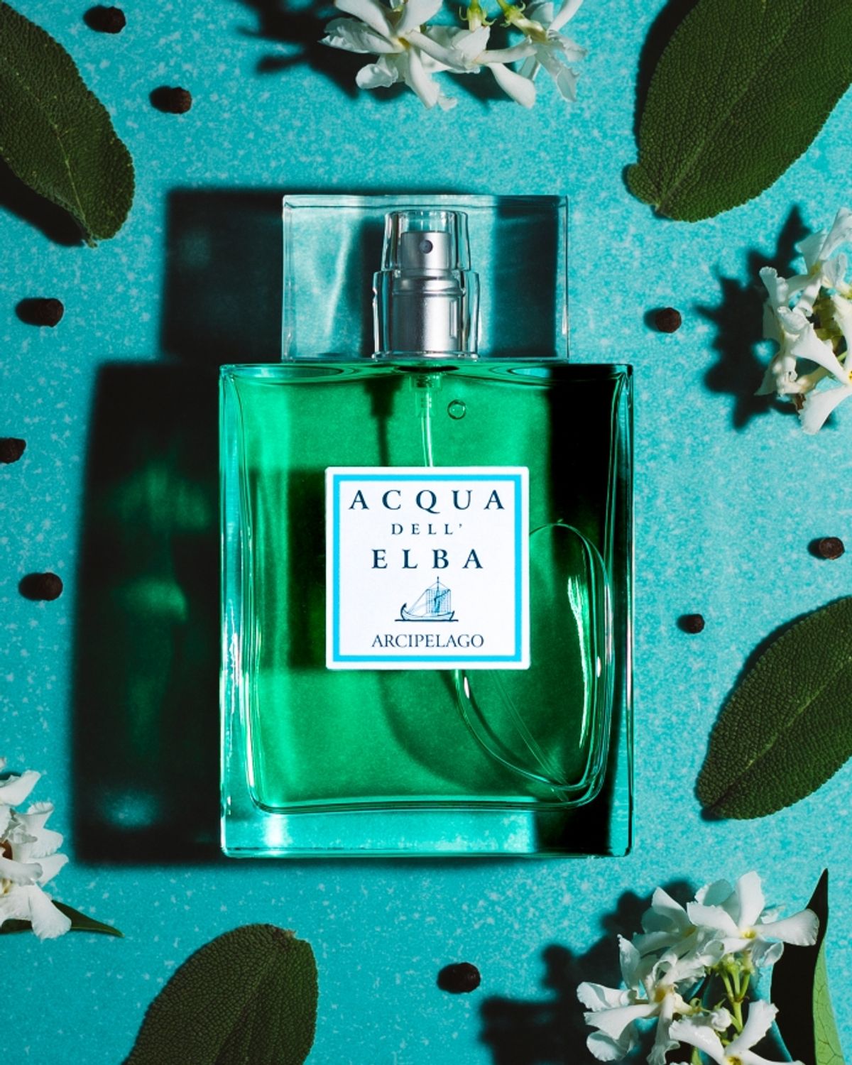 아쿠아델엘바(ACQUA DELL ELBA) 알키펠라고 오드퍼퓸 남성 100ML