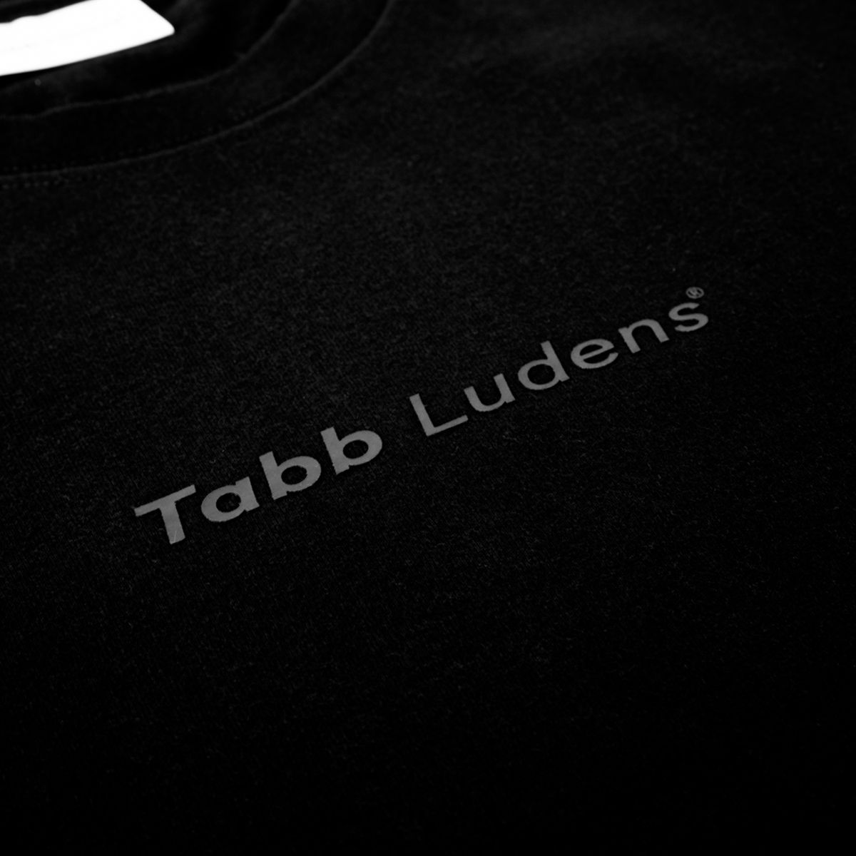 탭루덴스(TABBLUDENS) TL Logo Tee
