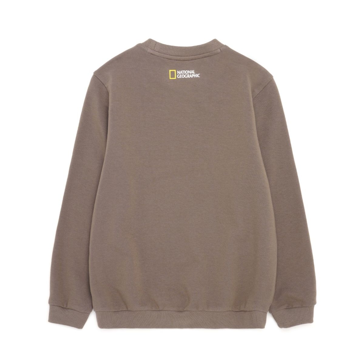 내셔널지오그래픽 키즈(NATIONAL GEOGRAPHIC KIDS) K223USW910 폴하스 스몰 로고 맨투맨 티셔츠 MOCHA BROWN