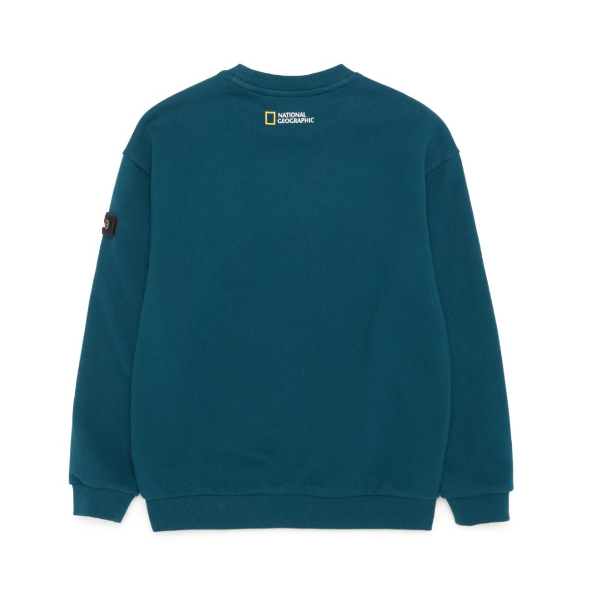 내셔널지오그래픽 키즈(NATIONAL GEOGRAPHIC KIDS) K223USW950 캠핑 그래픽 맨투맨 티셔츠 TEAL GREEN
