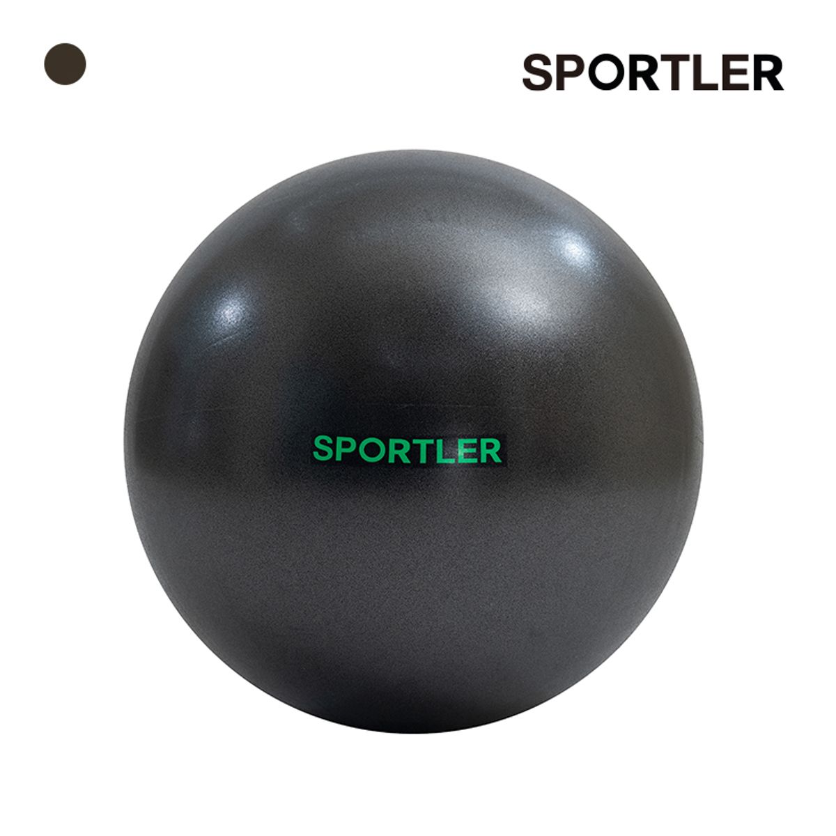 스포틀러(SPORTLER) 65cm 안티버스트 짐볼 SPT-TR1