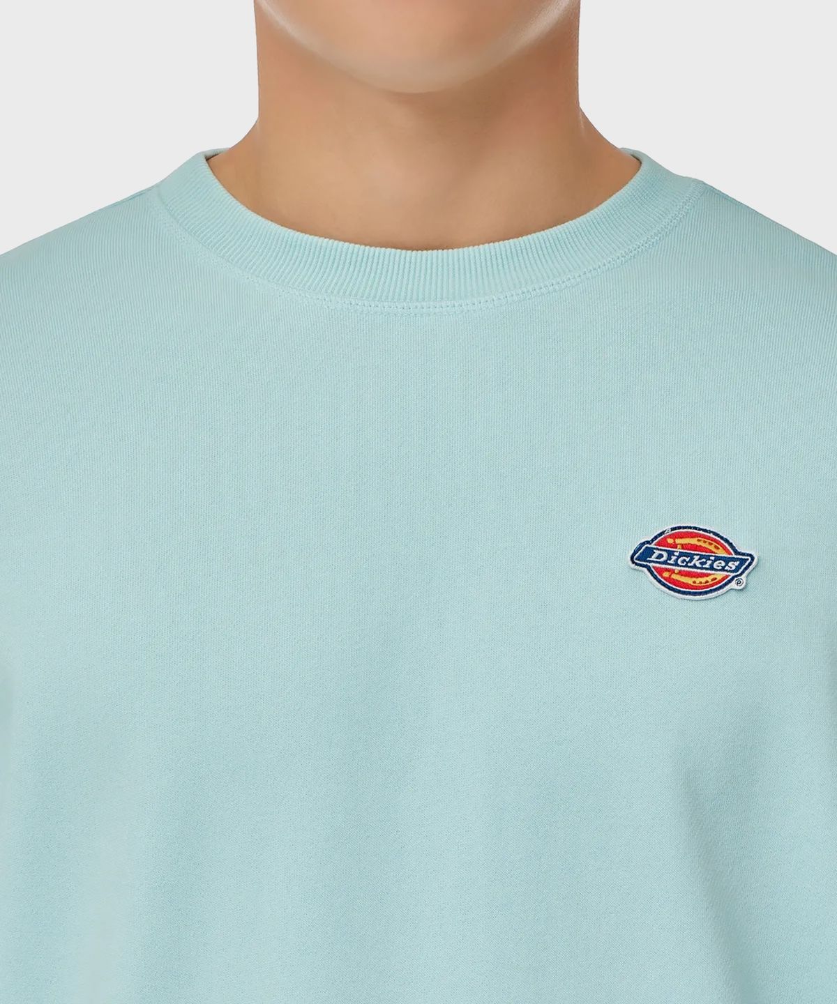 디키즈(DICKIES) 프렌치 테리 릴렉스드 스몰 자수 로고 크루넥 Iced Aqua
