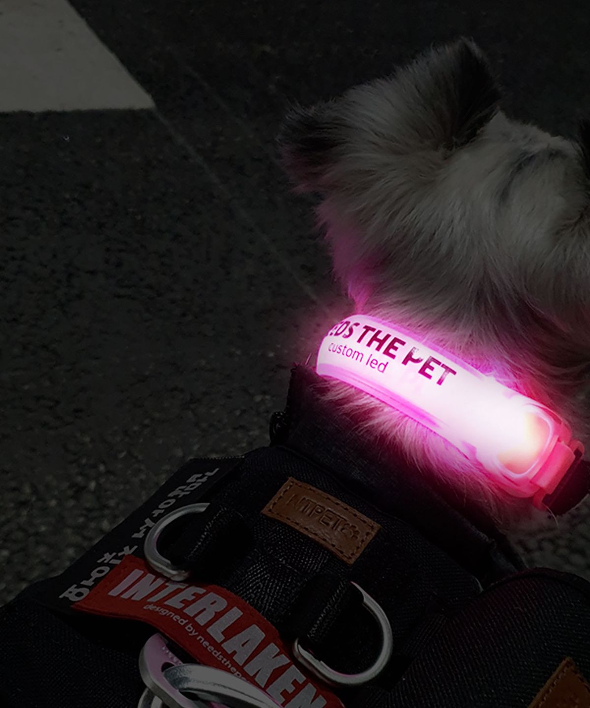 니즈더펫(NEEDS THE PET) 인터라켄 커스텀 강아지 LED 밴드