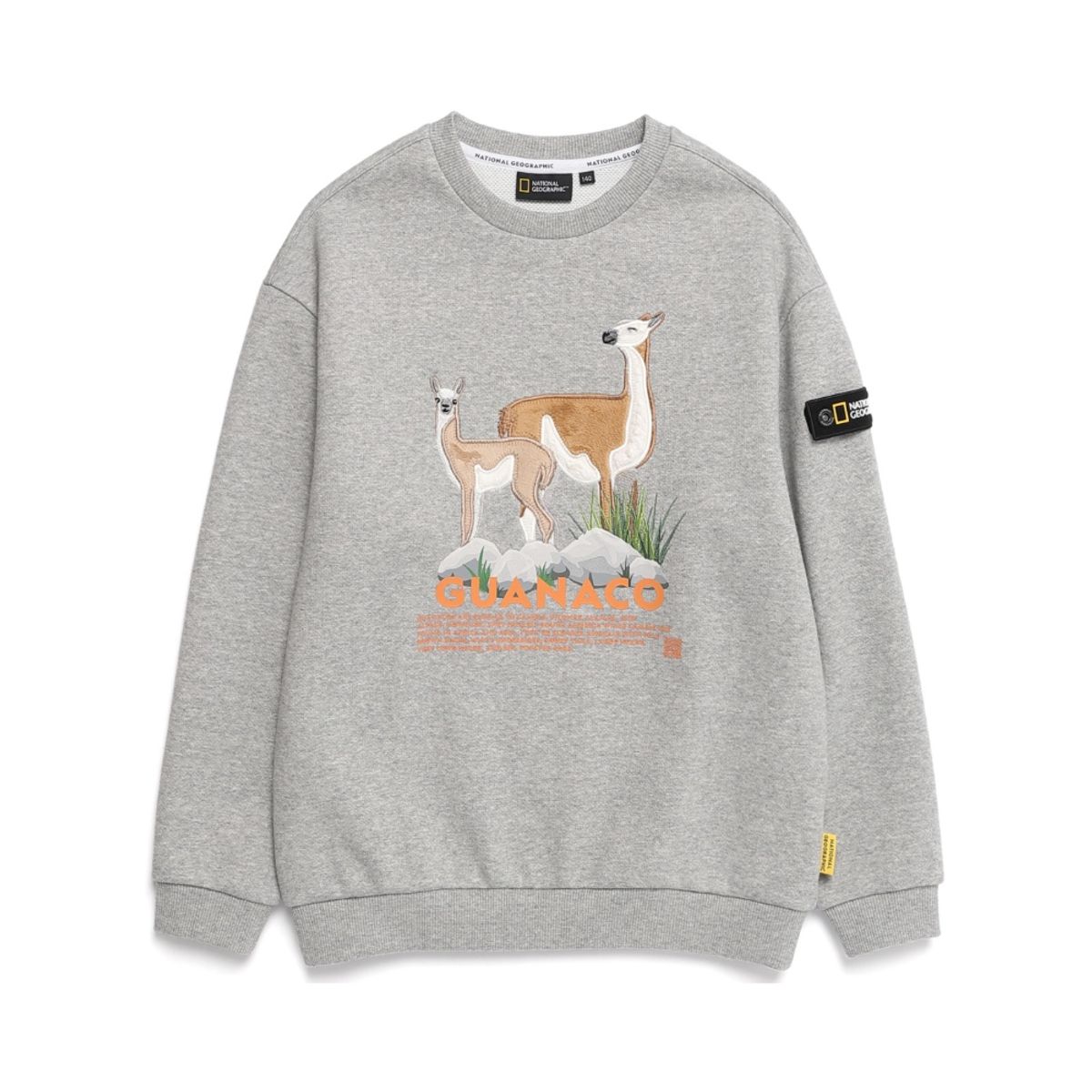 내셔널지오그래픽 키즈(NATIONAL GEOGRAPHIC KIDS) K224USW950 동물 아트웍 기모 맨투맨 MELANGE GREY