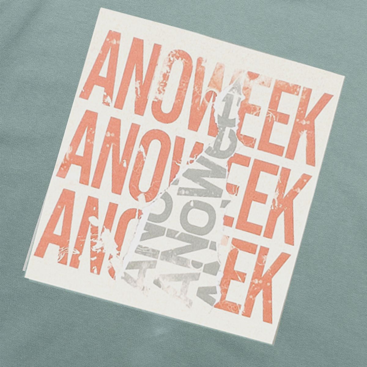 아노윅(ANOWEEK) VINTAGE CRACK POSTER MTM