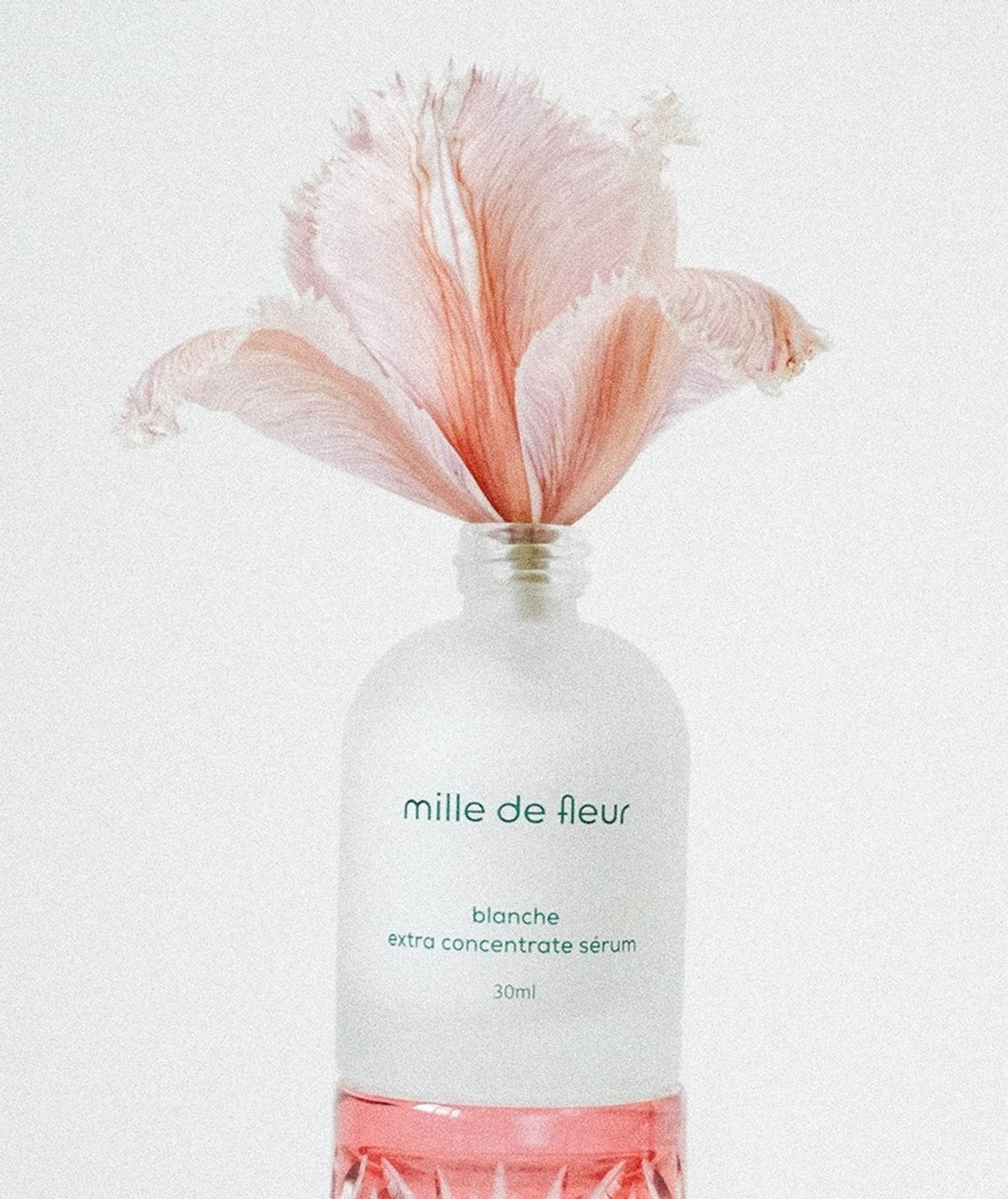 밀드플레르(MILLE DE FLEUR) 블랑쉬 엑스트라 컨센트레이트 세럼