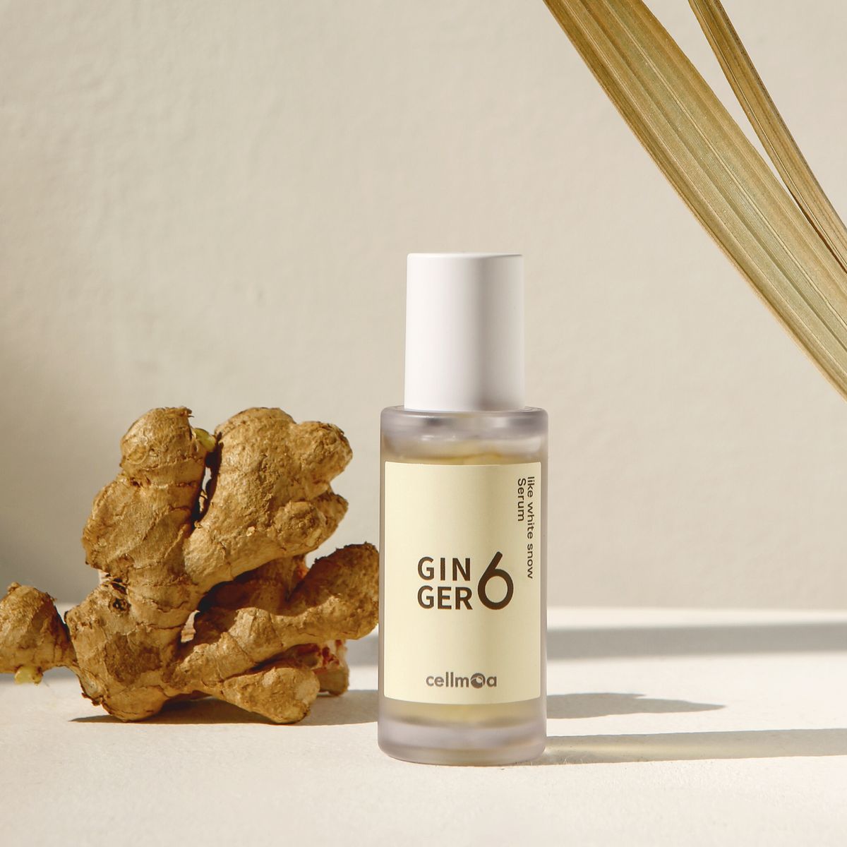 진저6(GINGER6) 비건 라이크 화이트 스노우 세럼  30ml
