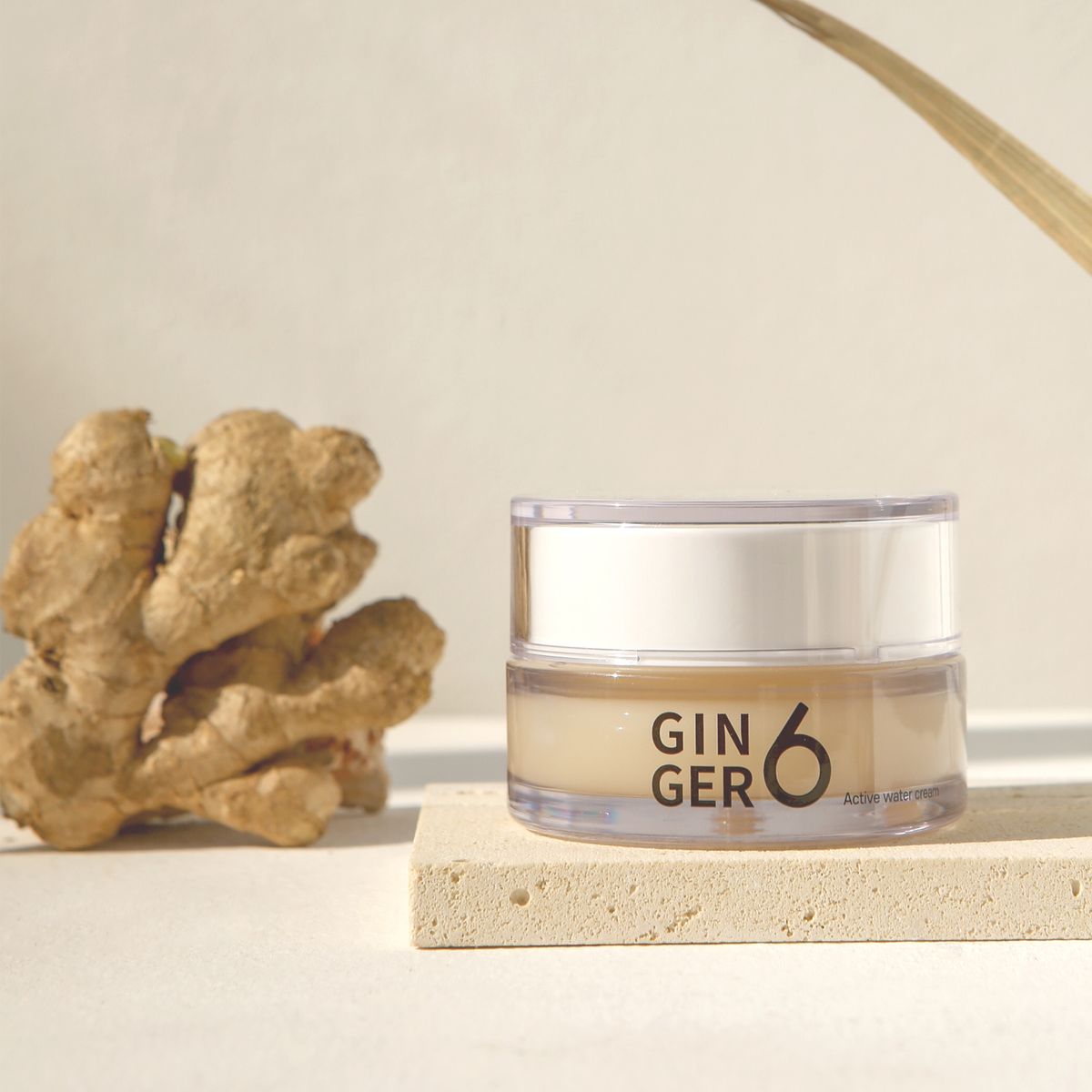 진저6(GINGER6) 비건 액티브 워터 수분 크림 50ml
