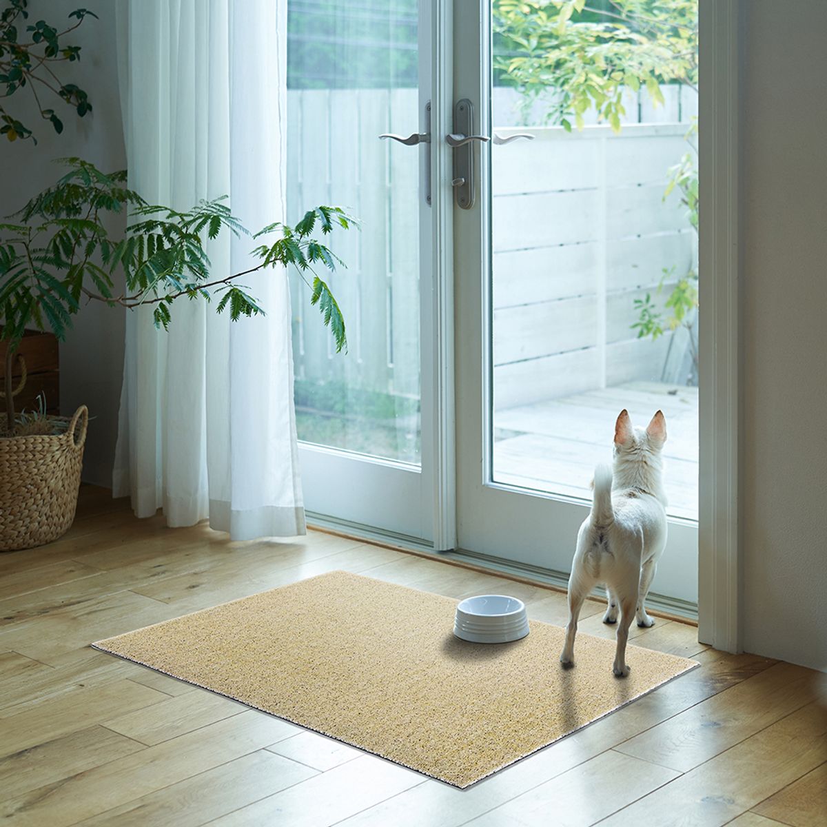 데이드리머(DAYDREAMER) 그라운드 코일매트 (솔리드 베이지)