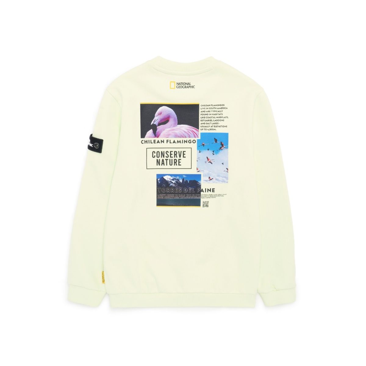 내셔널지오그래픽 키즈(NATIONAL GEOGRAPHIC KIDS) K224USW940 컨셉 그래픽 맨투맨 티셔츠 FOAM GREEN