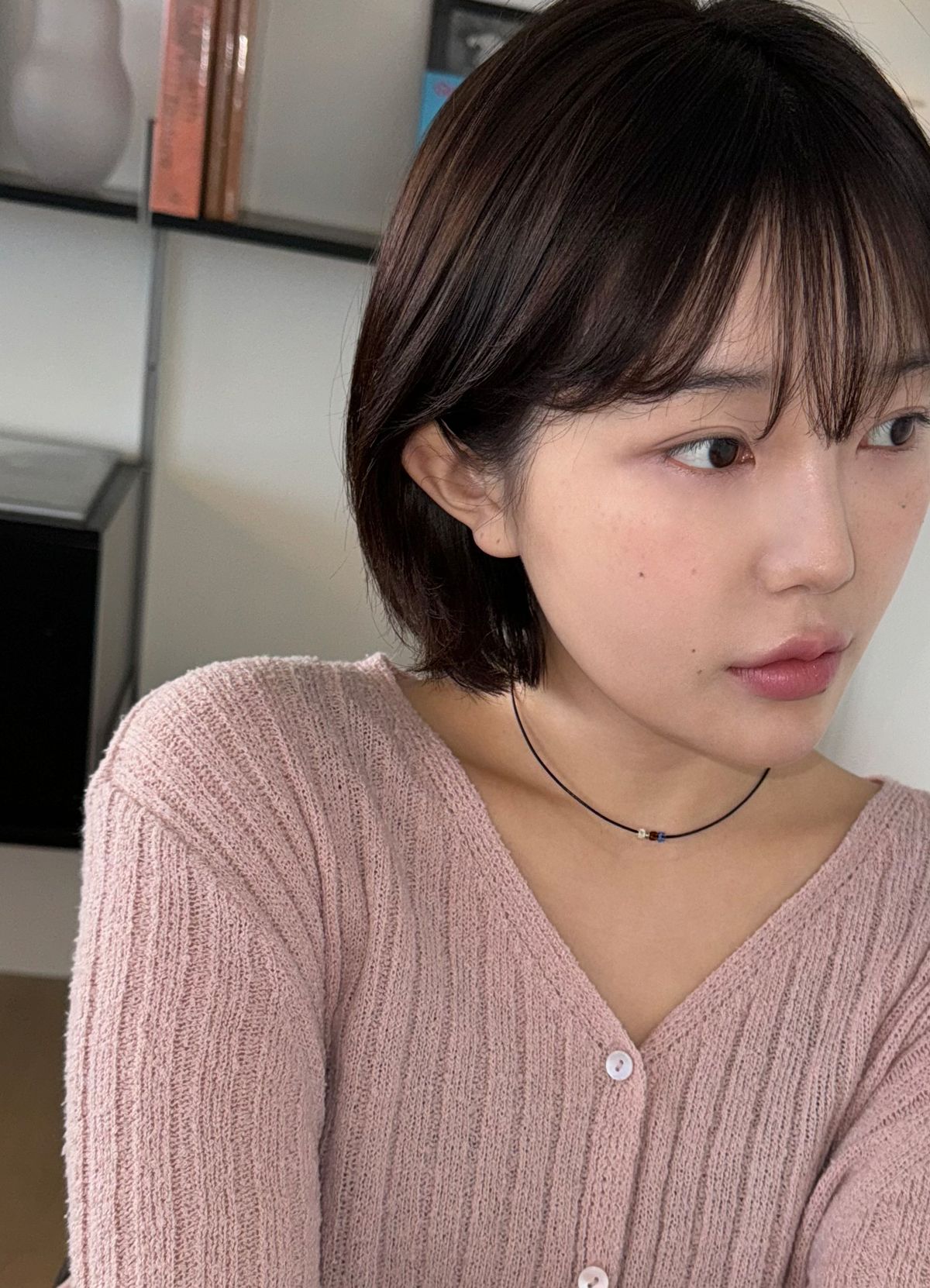 애플파이오더(APPLE PIE ORDER) Leather Choker.(5color)