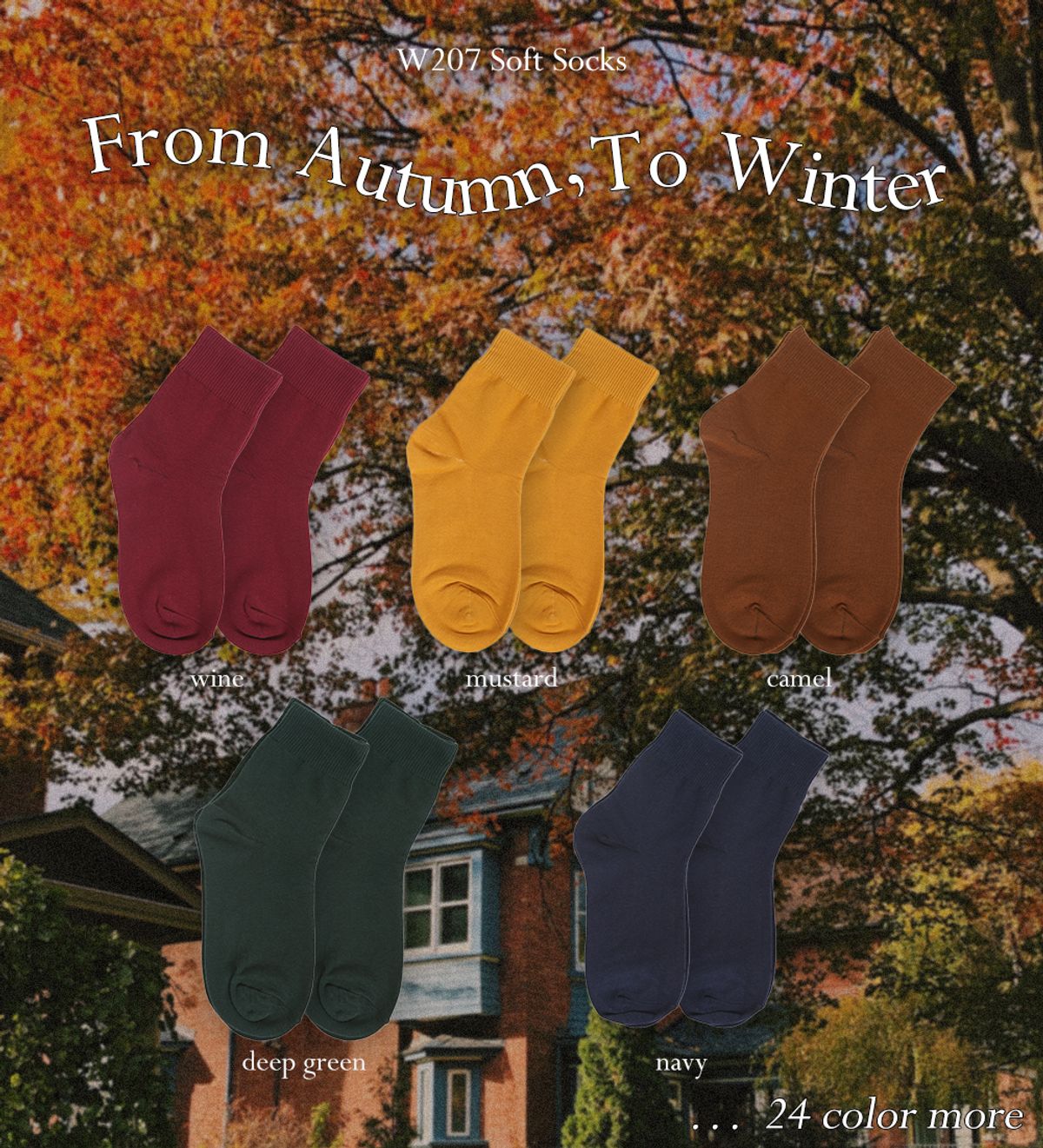 삭스에이(SOCKSA) [10PACK] 베이직 200N 소프트 무지 긴양말 베이지