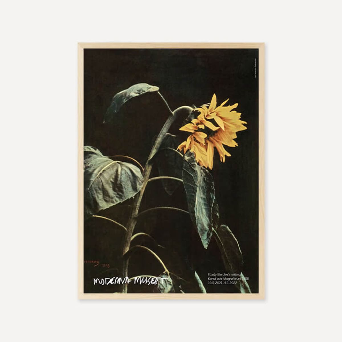 그릿시즌(GREET SEASON) 존 허츠버그 John Hertzberg, 1903 (액자 포함)